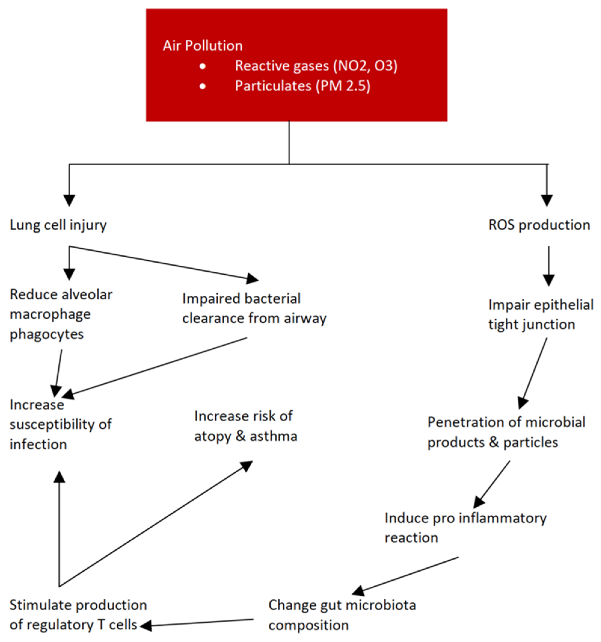 Children 09 00765 g002