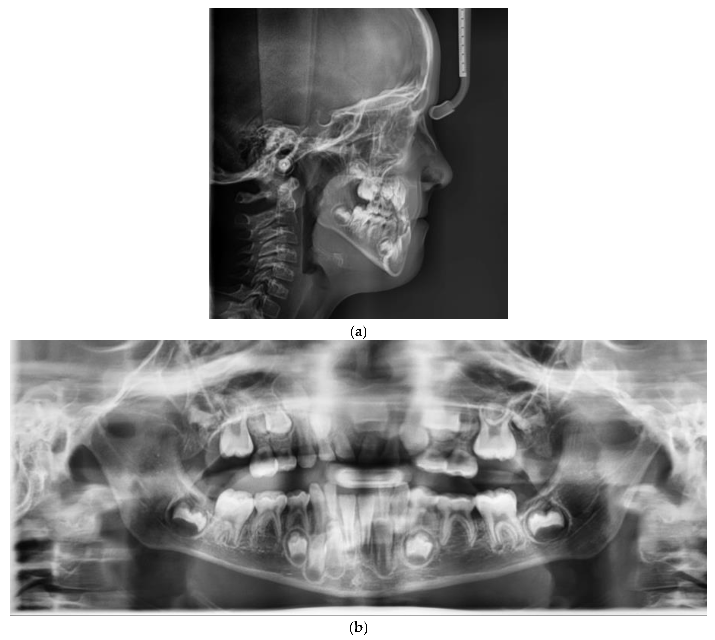 Children 09 00784 g002