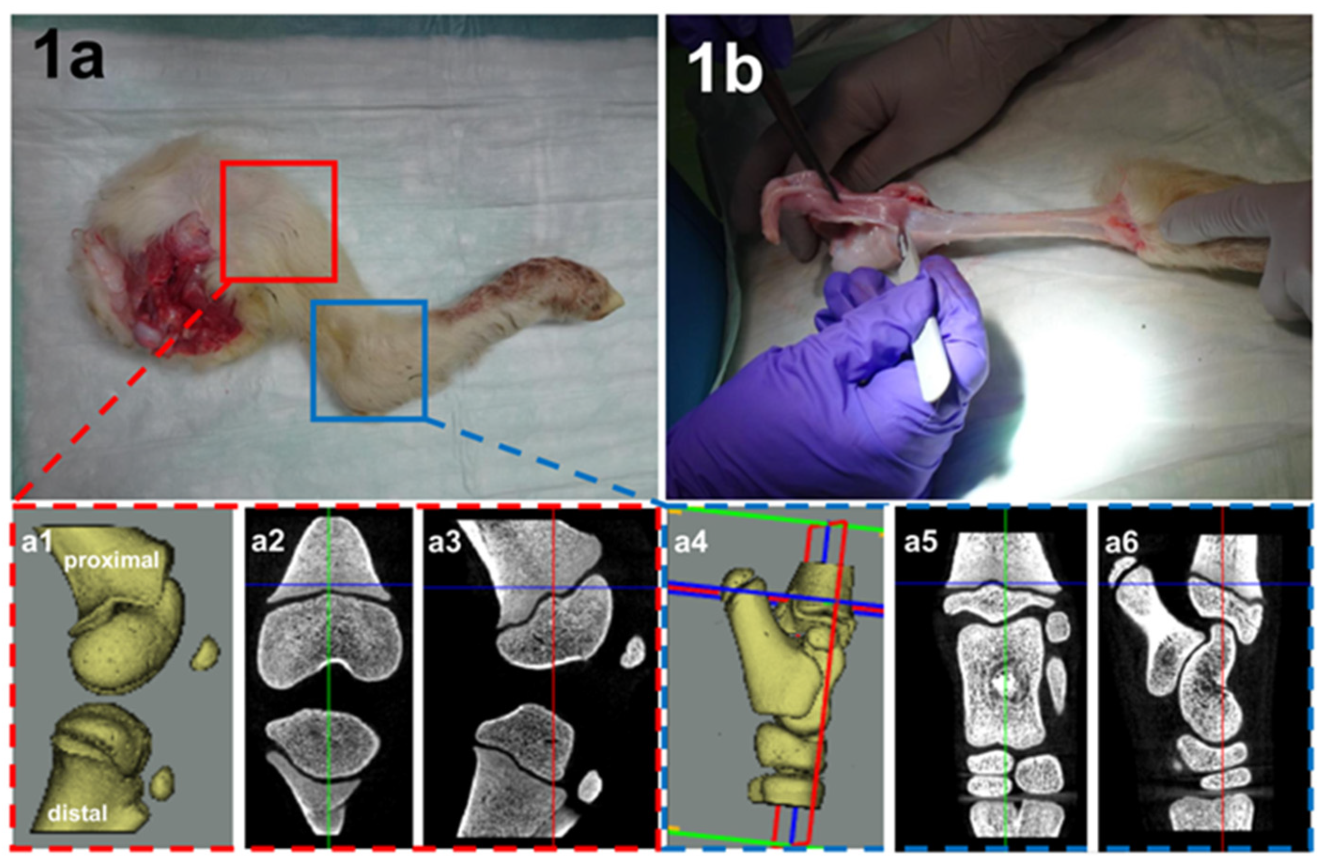 Children 09 00878 g001