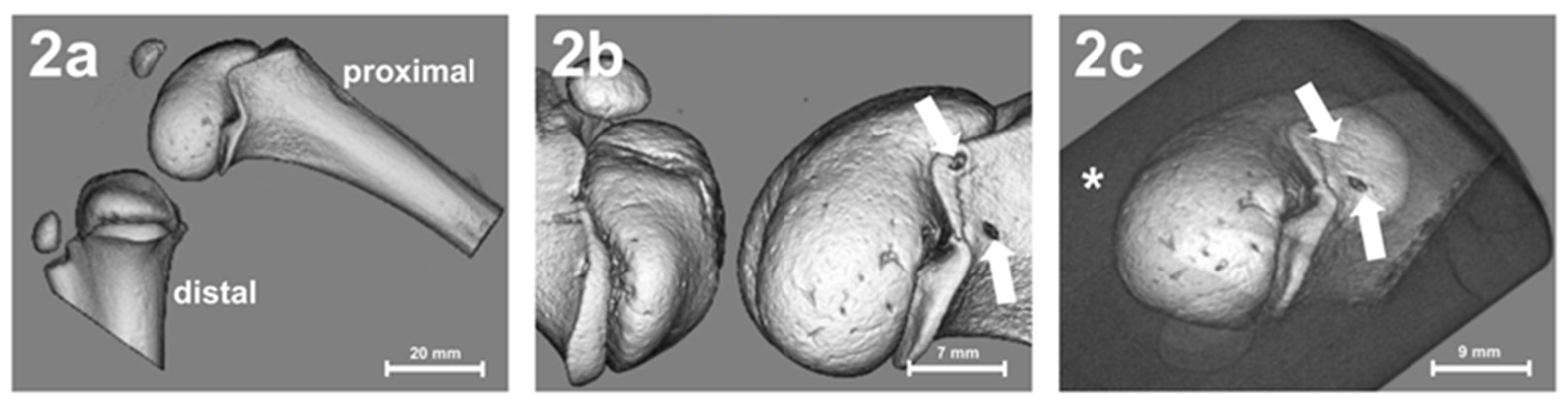 Children 09 00878 g002