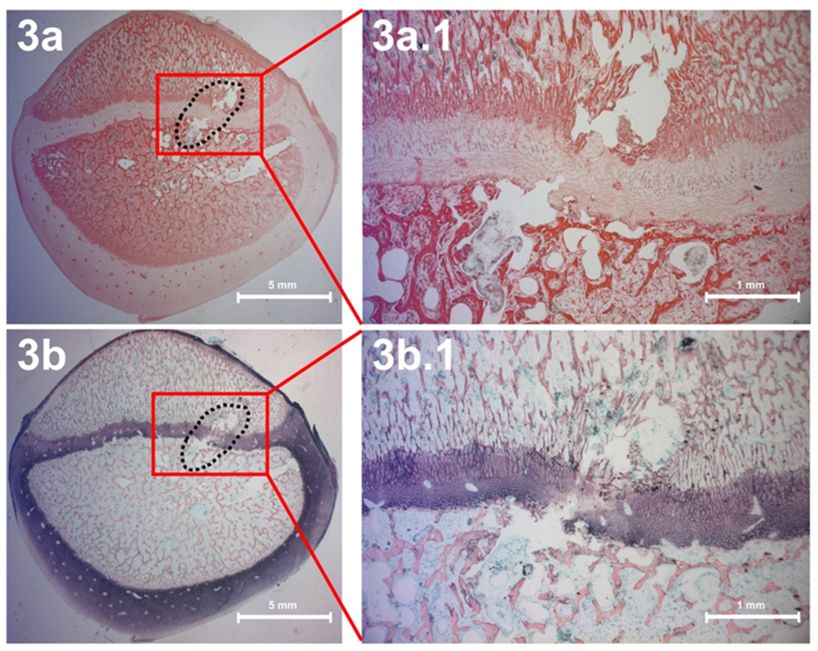 Children 09 00878 g003