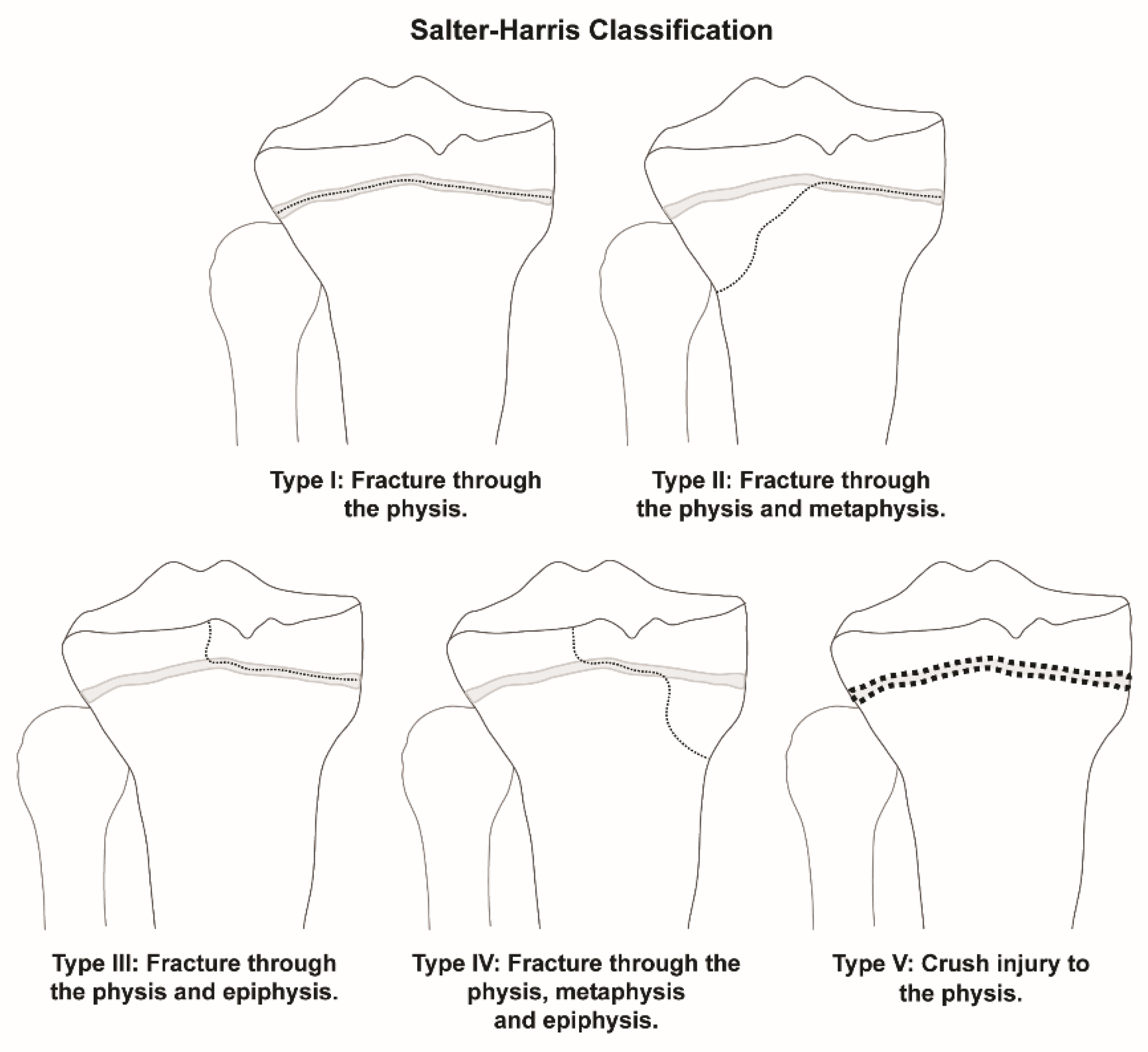 Children 09 00914 g001