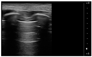 Children 09 00931 i001 Children 09 00931 i001