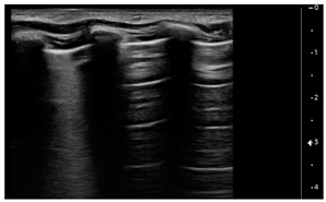 Children 09 00931 i002 Children 09 00931 i002