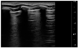 Children 09 00931 i003 Children 09 00931 i003