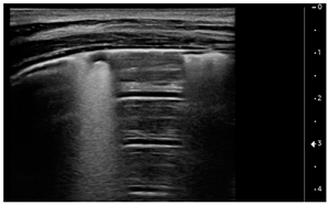 Children 09 00931 i004 Children 09 00931 i004