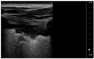 Children 09 00931 i006 Children 09 00931 i006