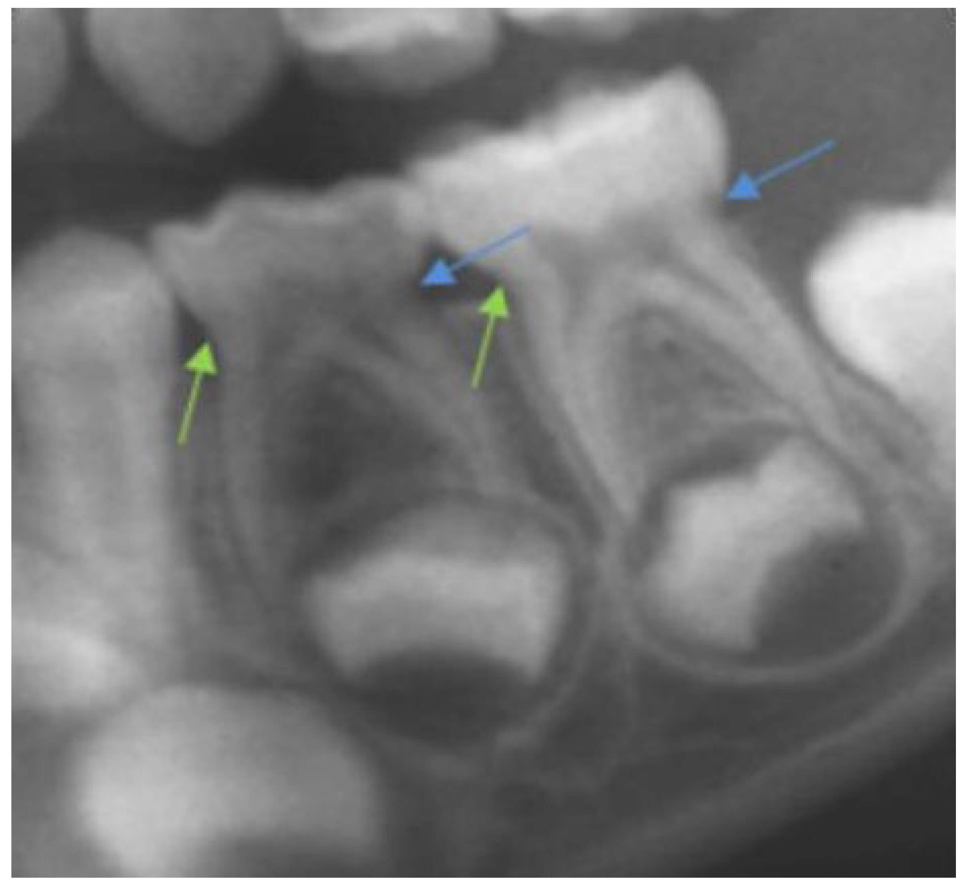 Children 09 00941 g001