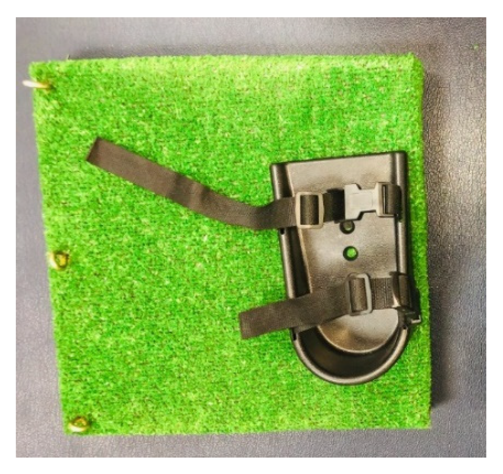 Children 09 00946 g002