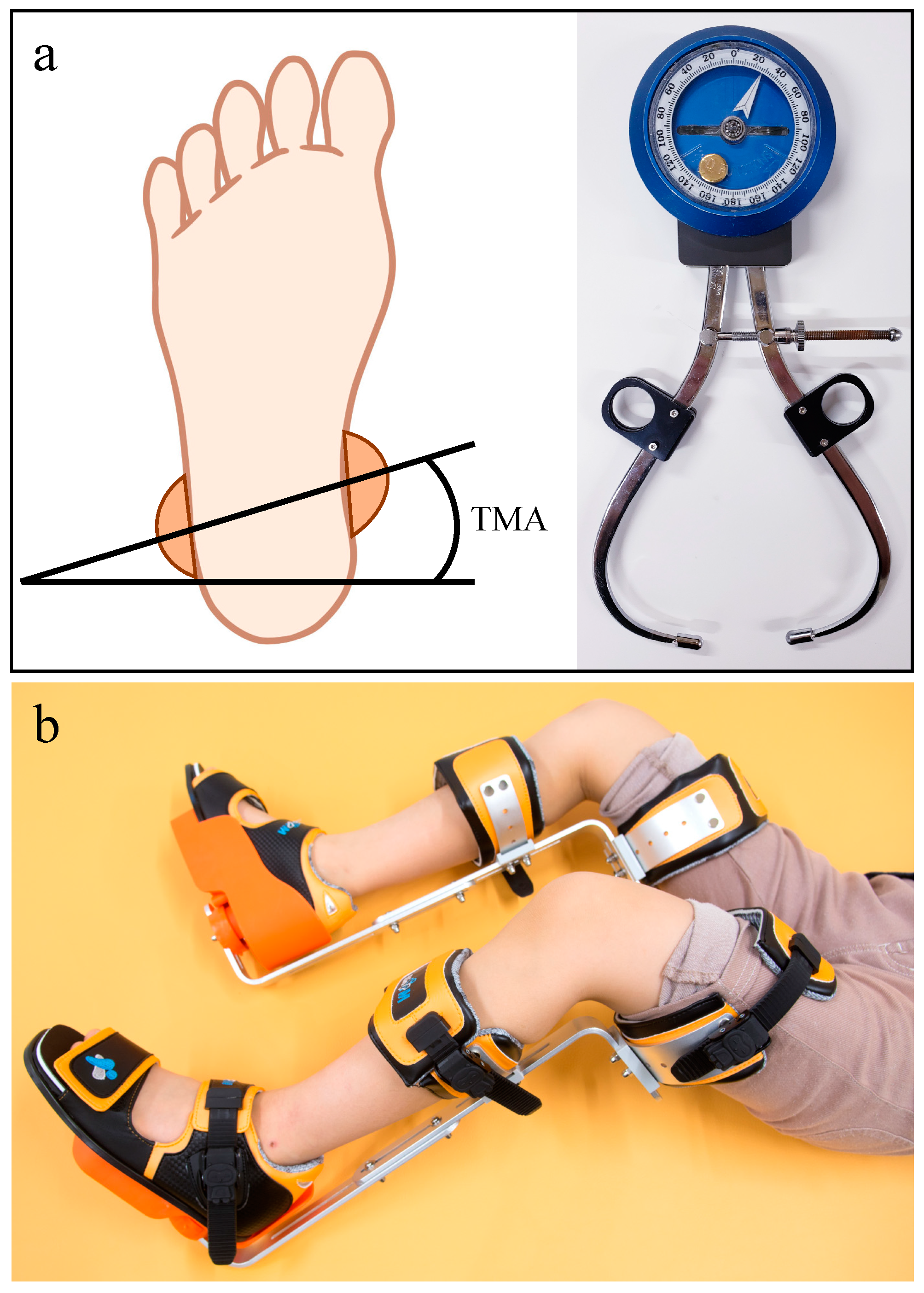 Children 09 00970 g001