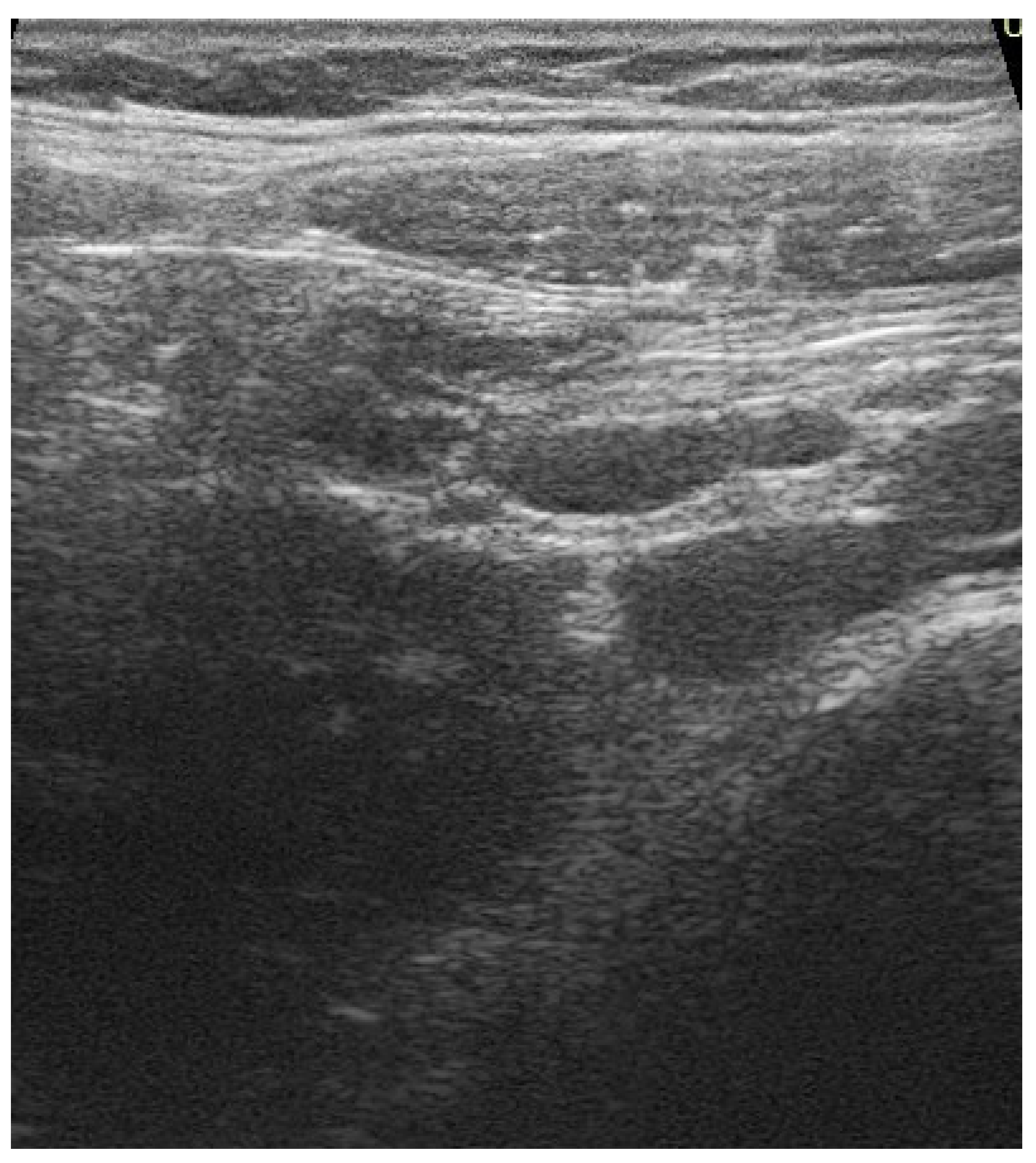 Children 09 00993 g001