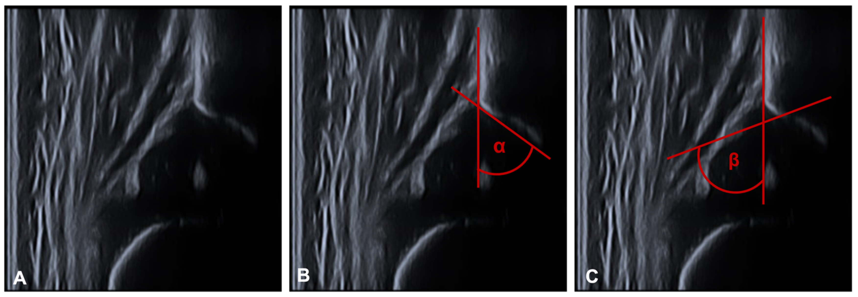 Children 09 01010 g003