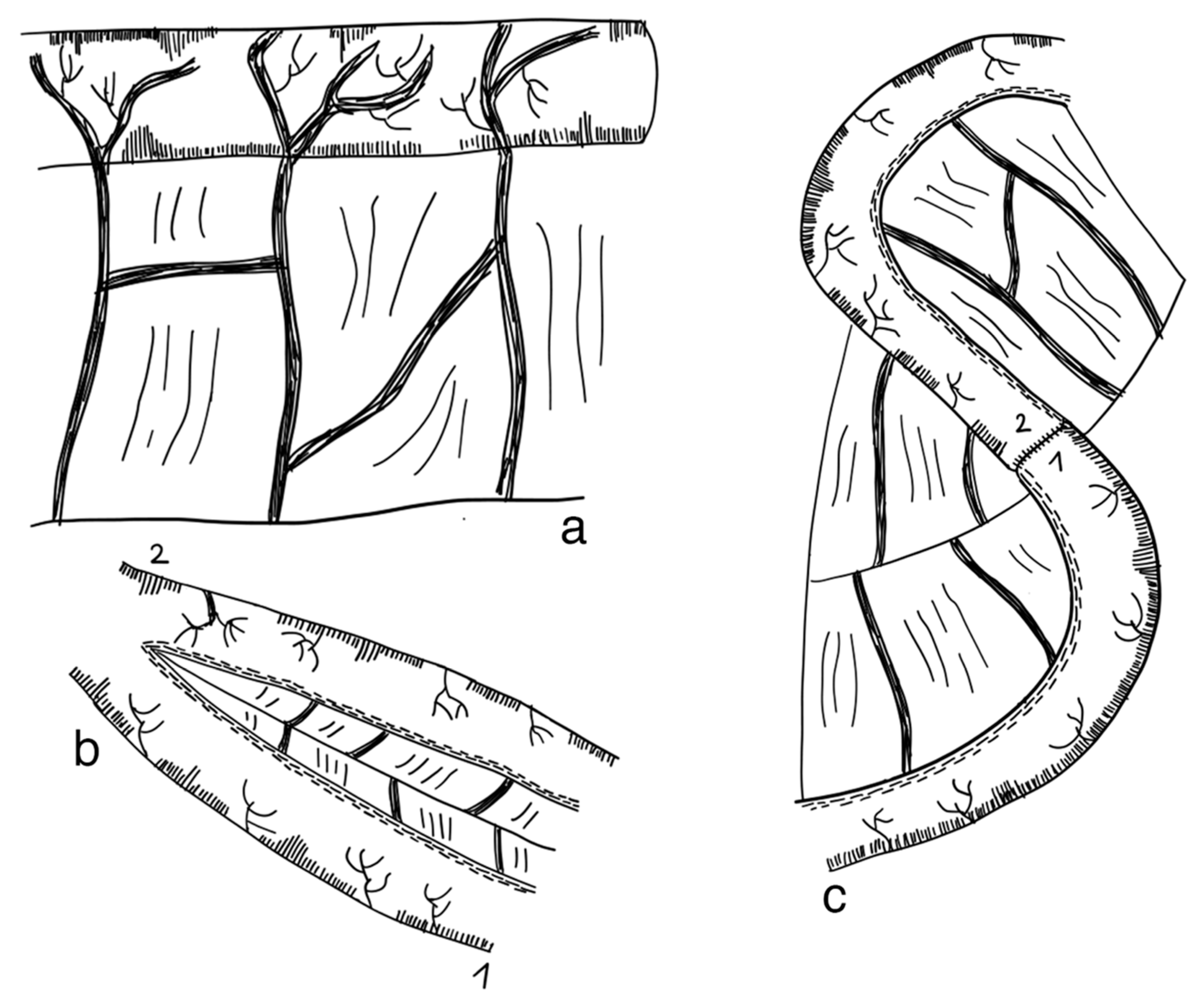 Children 09 01024 g003 Children 09 01024 g003