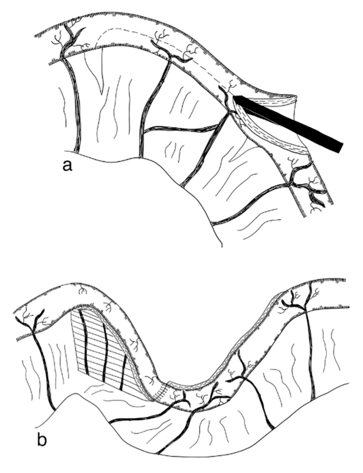 Children 09 01024 g004 Children 09 01024 g004