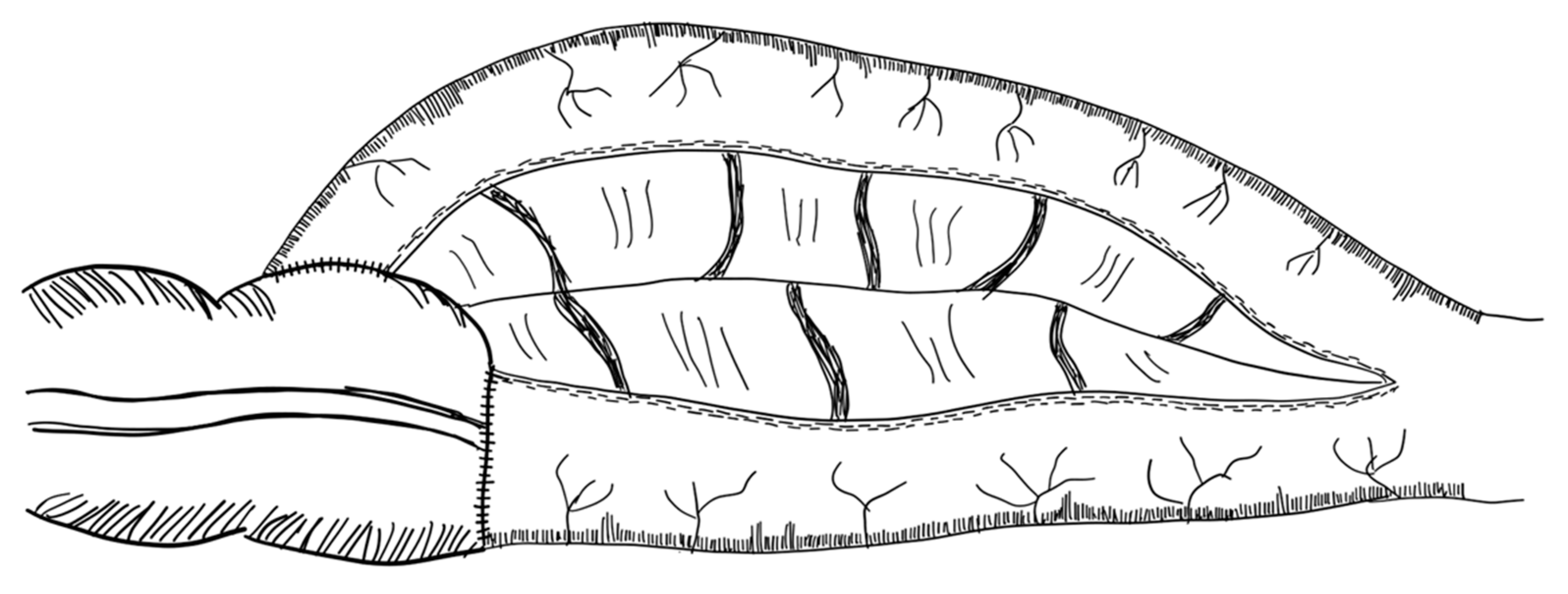 Children 09 01024 g005 Children 09 01024 g005