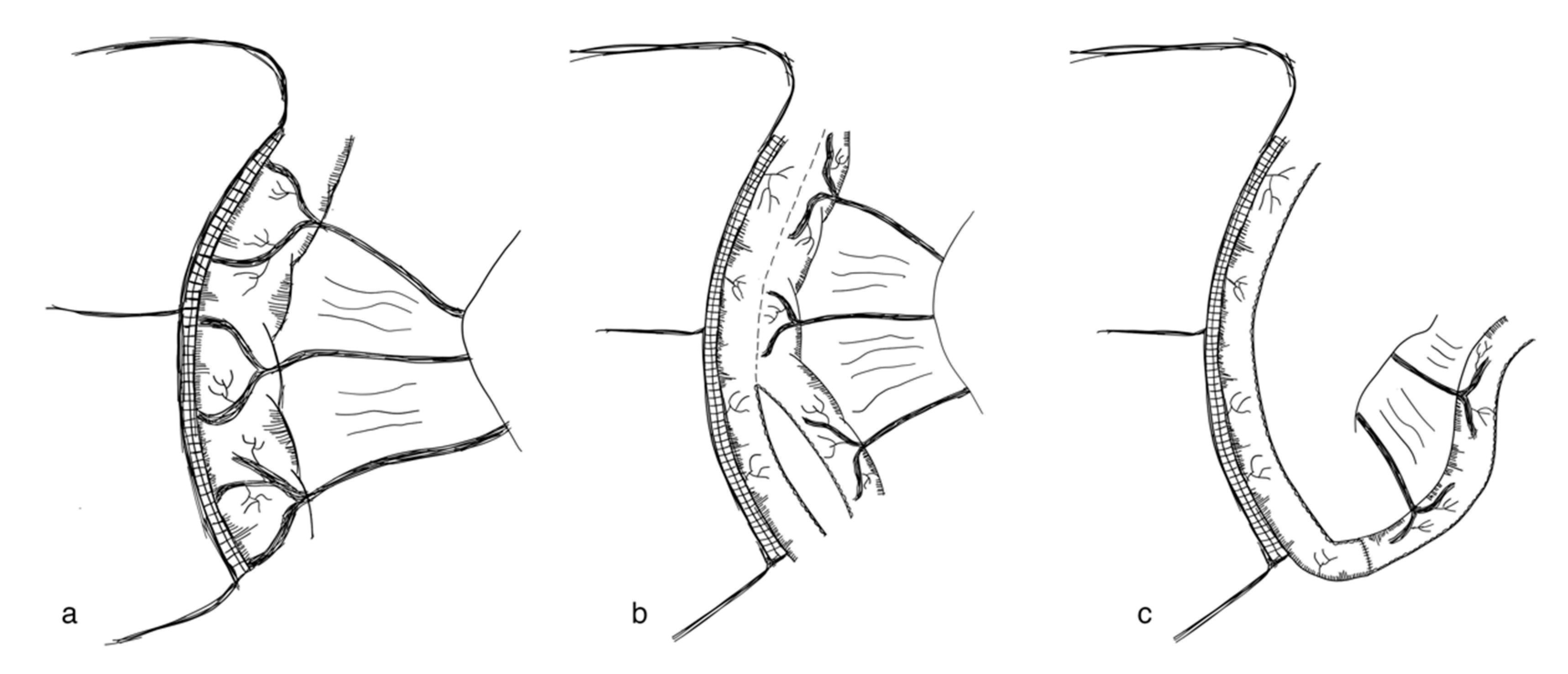 Children 09 01024 g006 Children 09 01024 g006