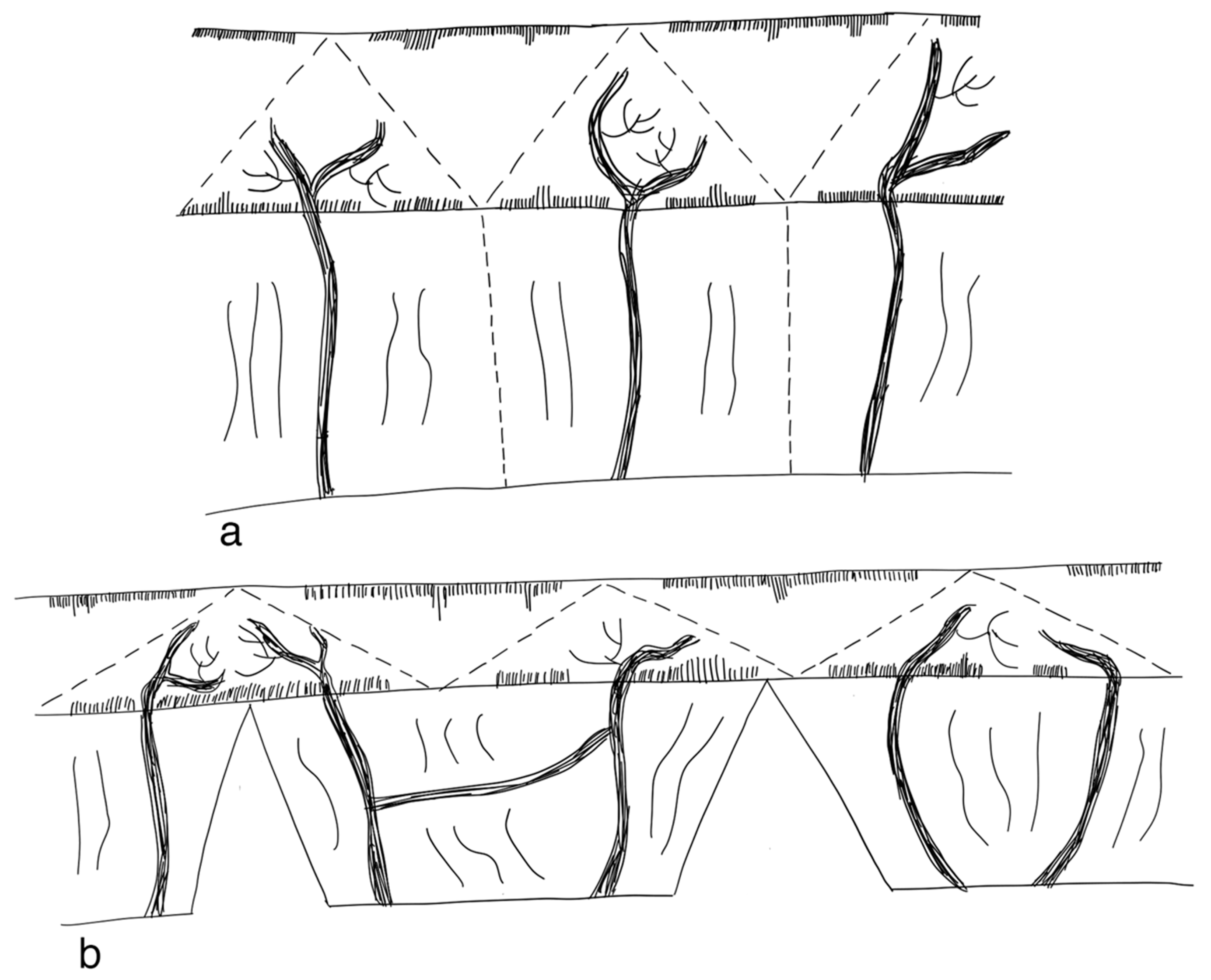 Children 09 01024 g007 Children 09 01024 g007