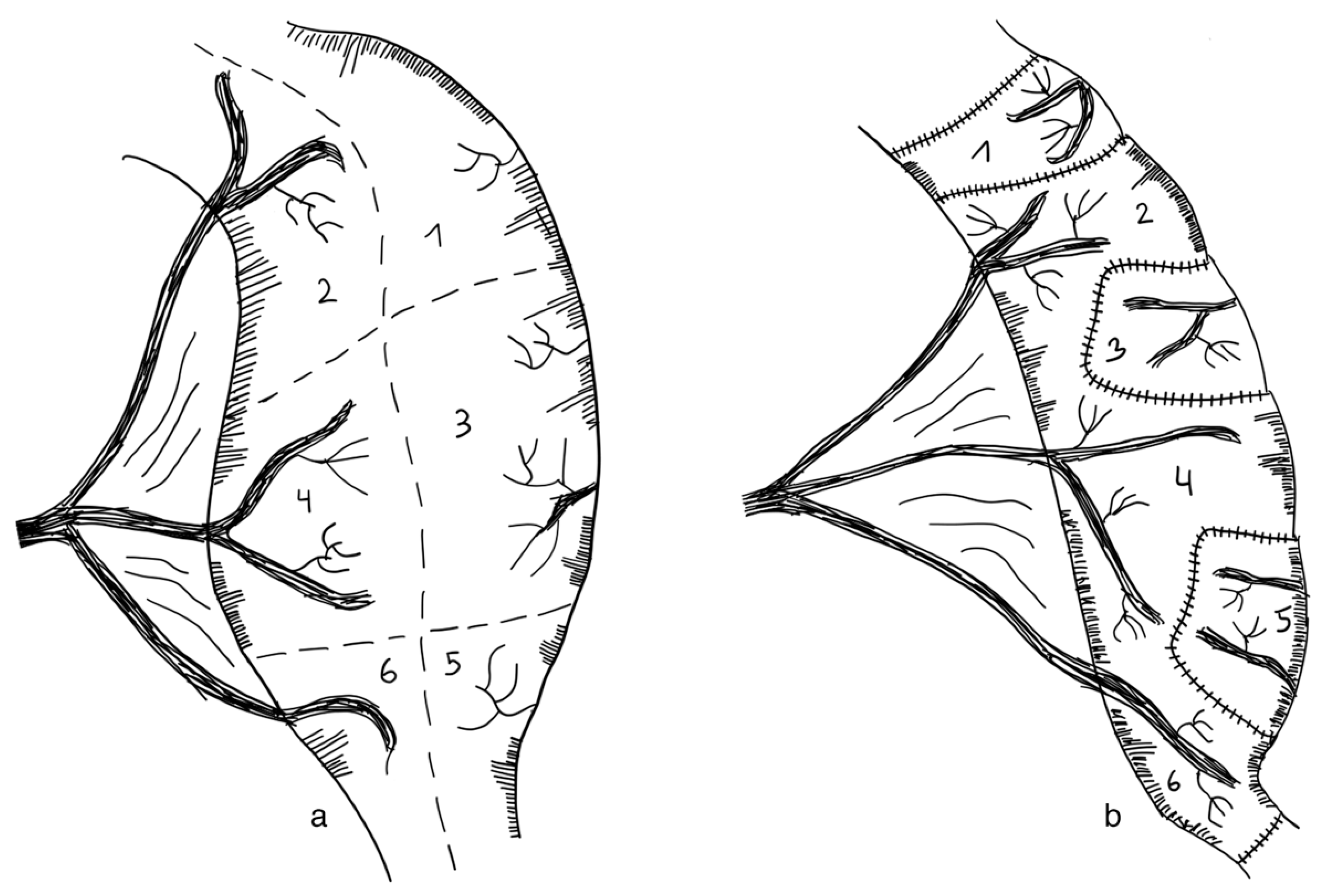 Children 09 01024 g008 Children 09 01024 g008