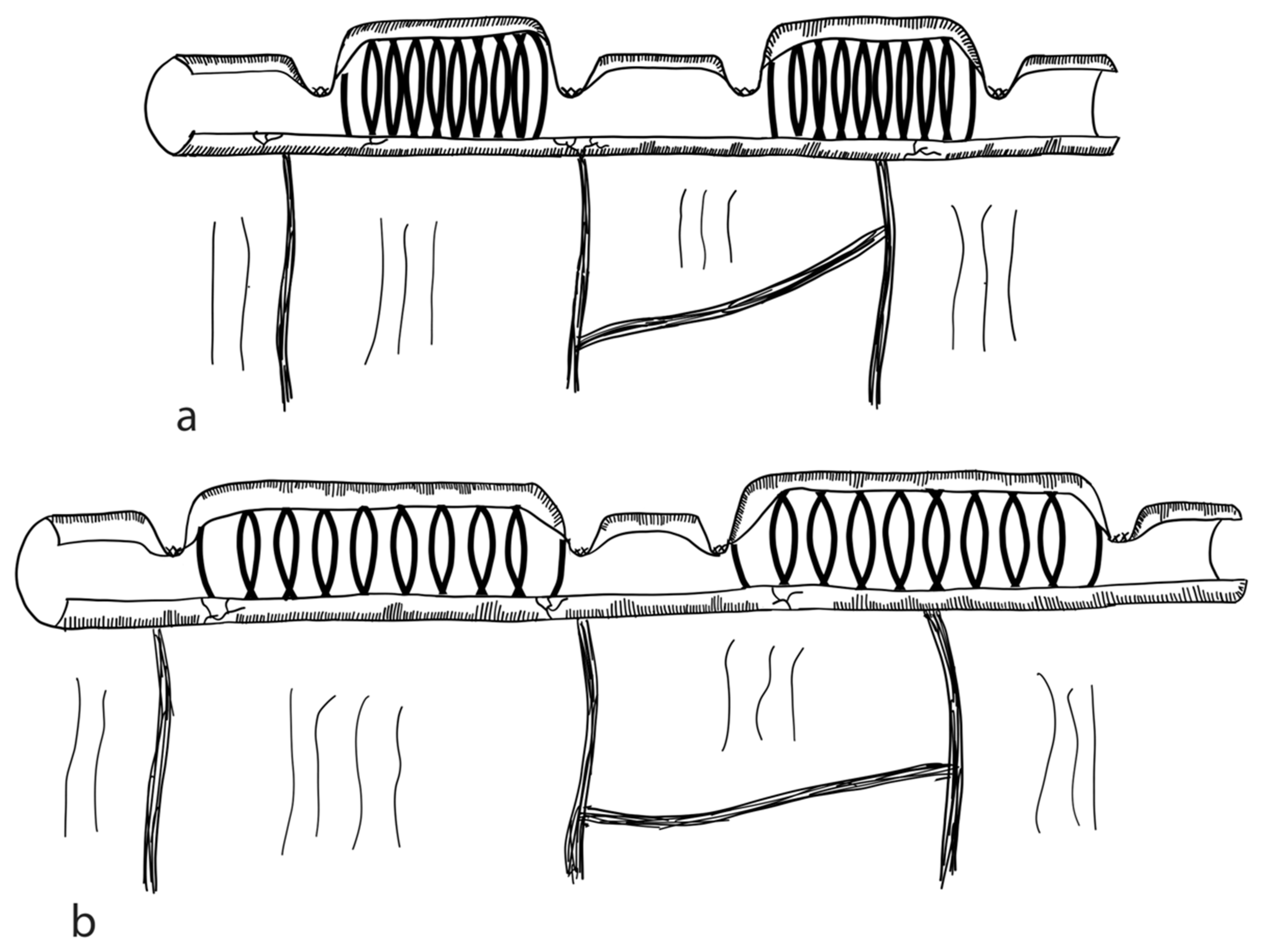 Children 09 01024 g010 Children 09 01024 g010