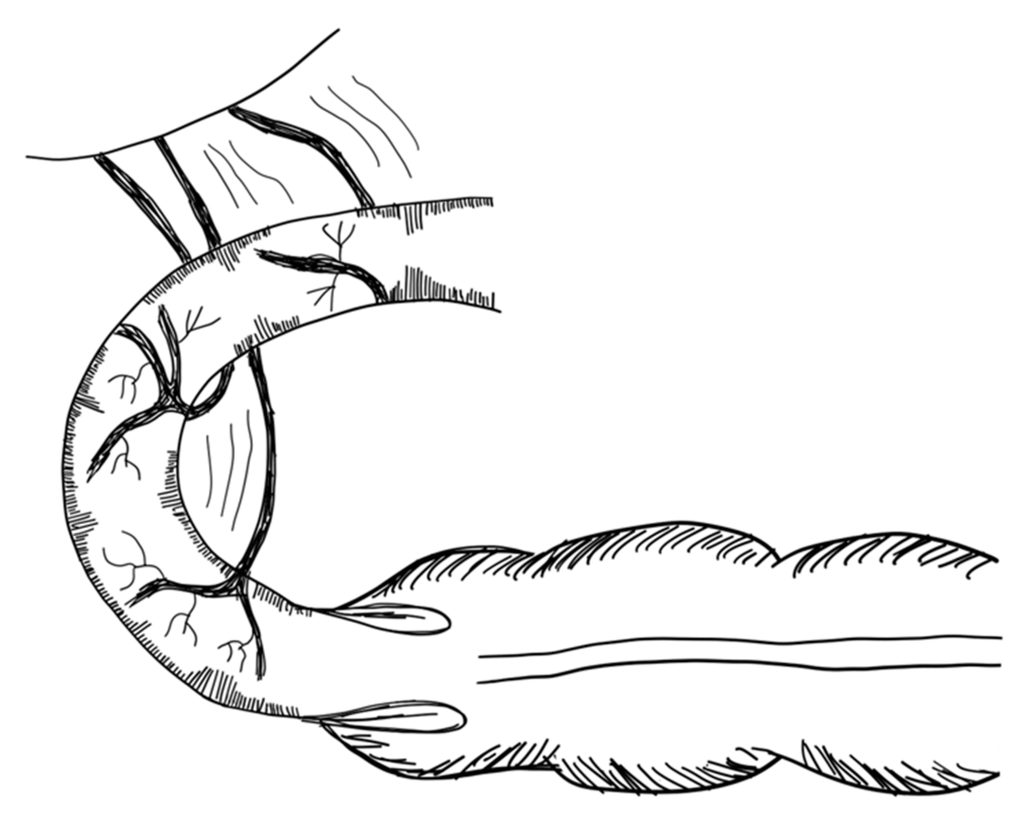 Children 09 01024 g013 Children 09 01024 g013