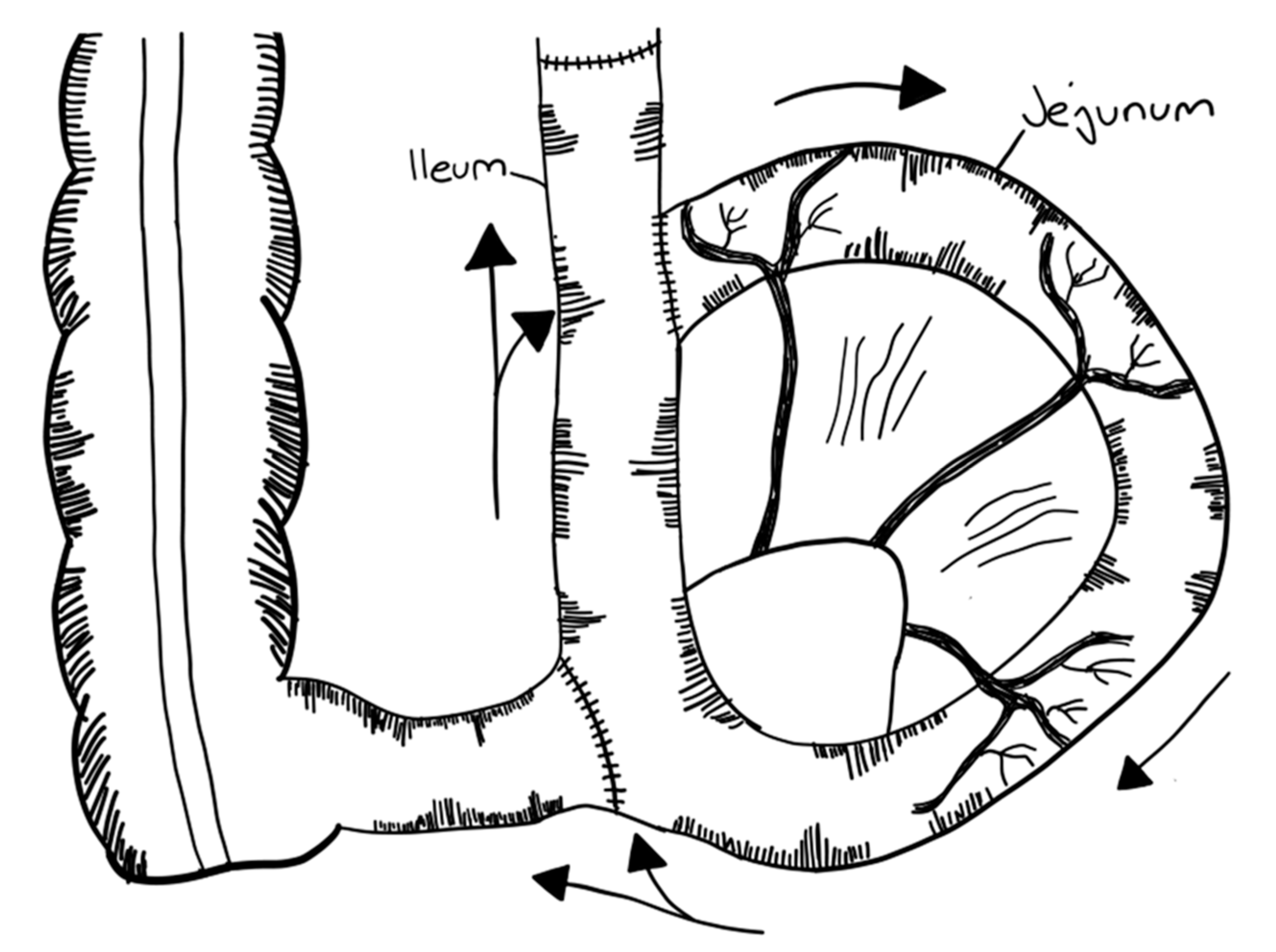 Children 09 01024 g014 Children 09 01024 g014