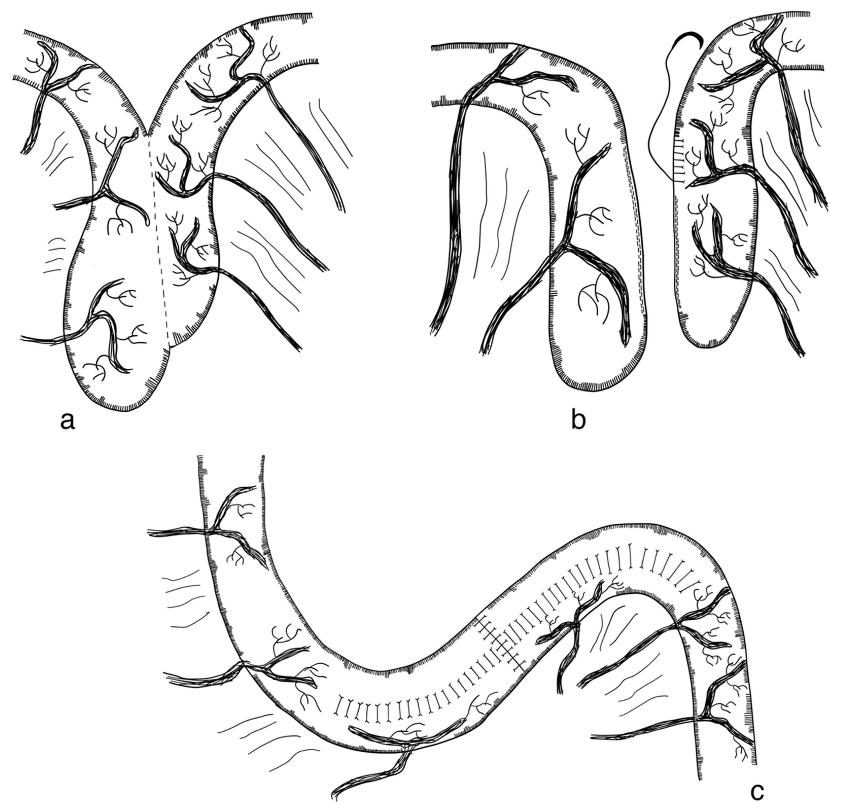 Children 09 01024 g016 Children 09 01024 g016