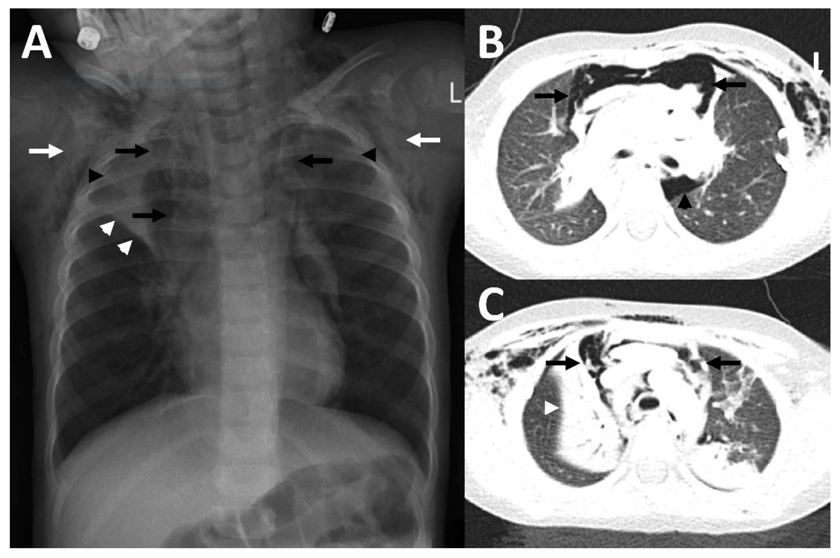 Children 09 01040 g002