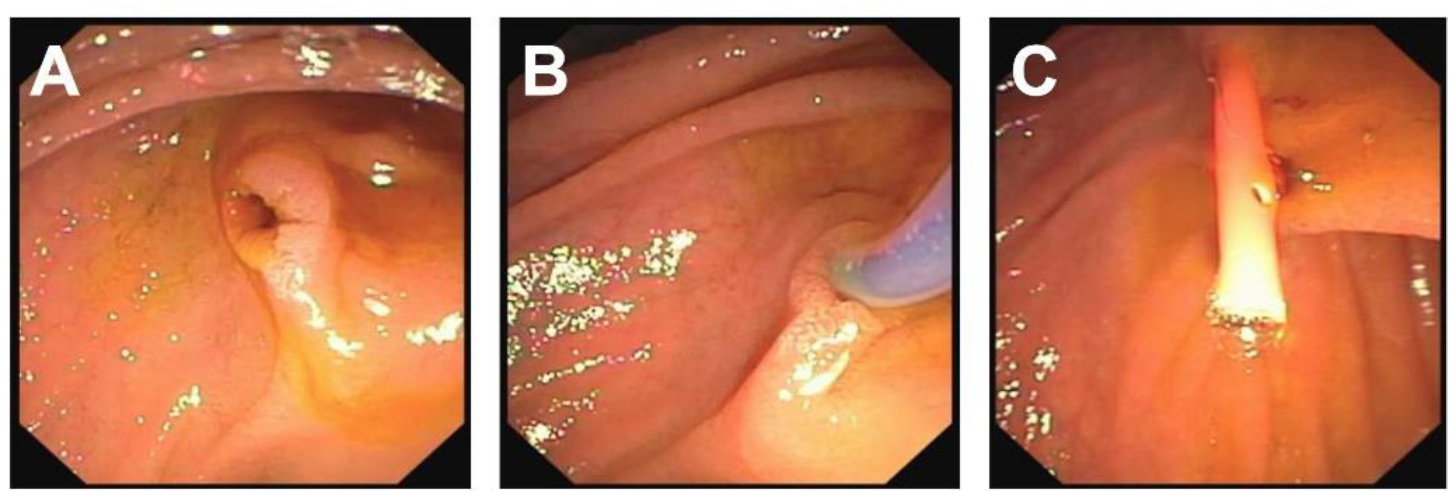 Children 09 01102 g003