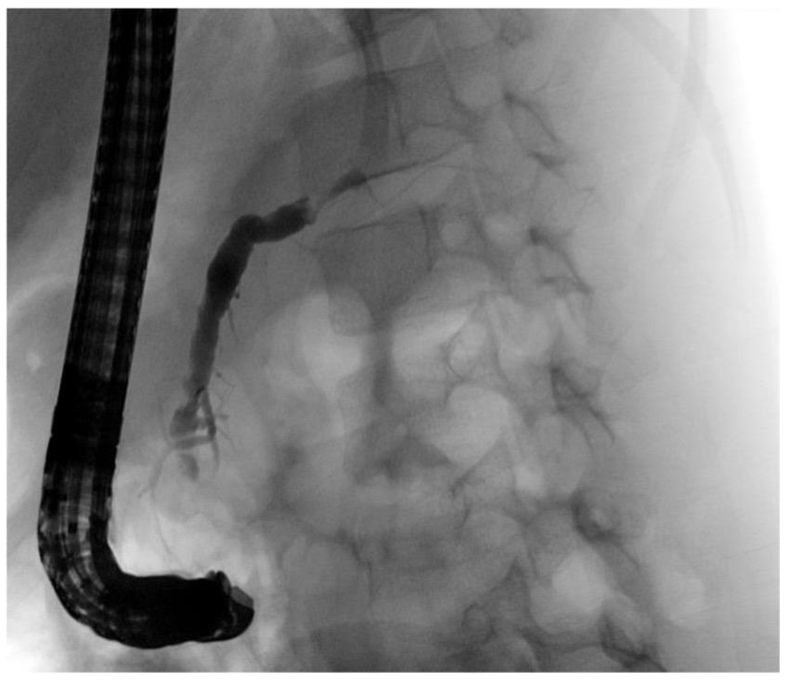 Children 09 01102 g005