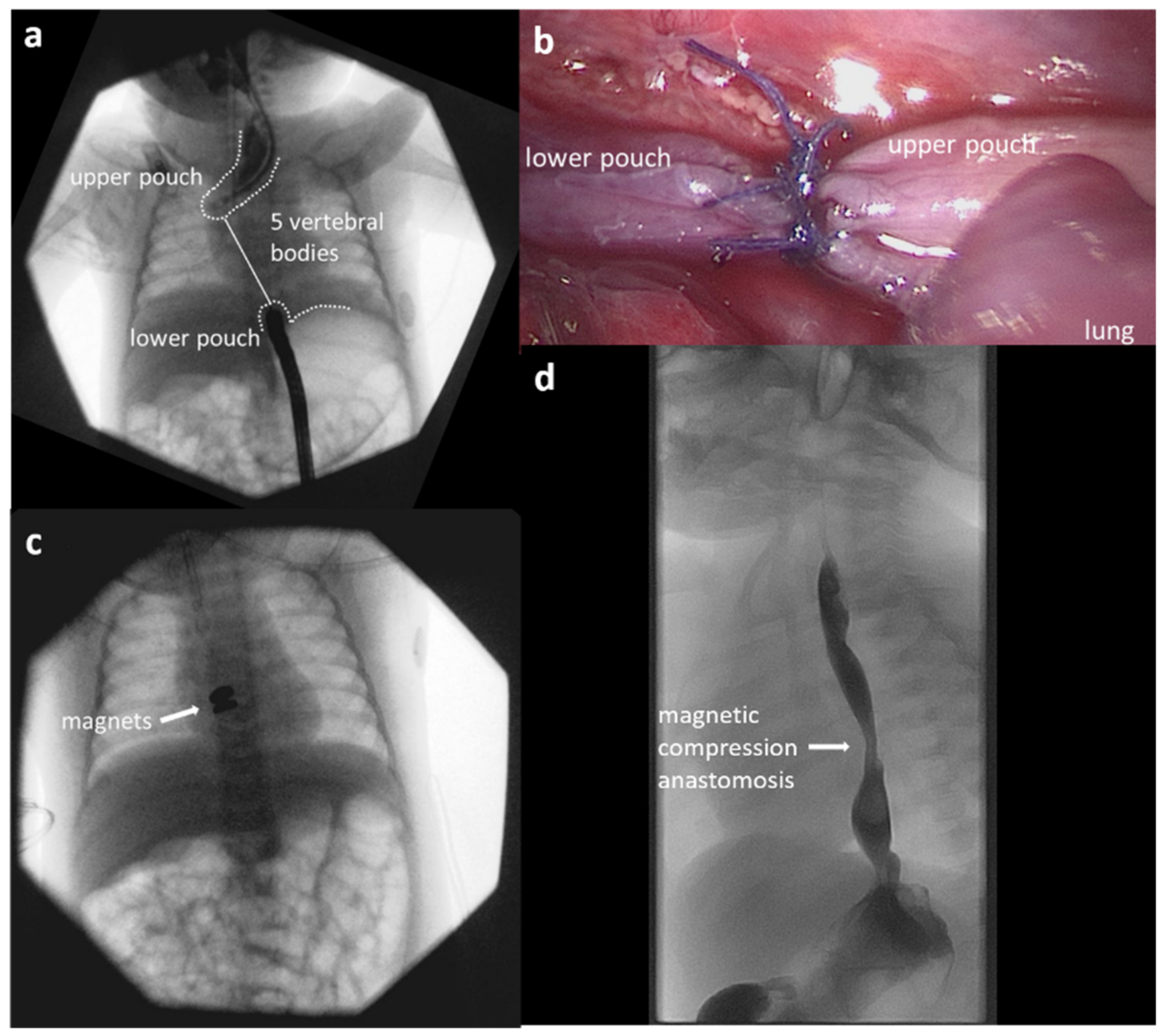 Children 09 01113 g003