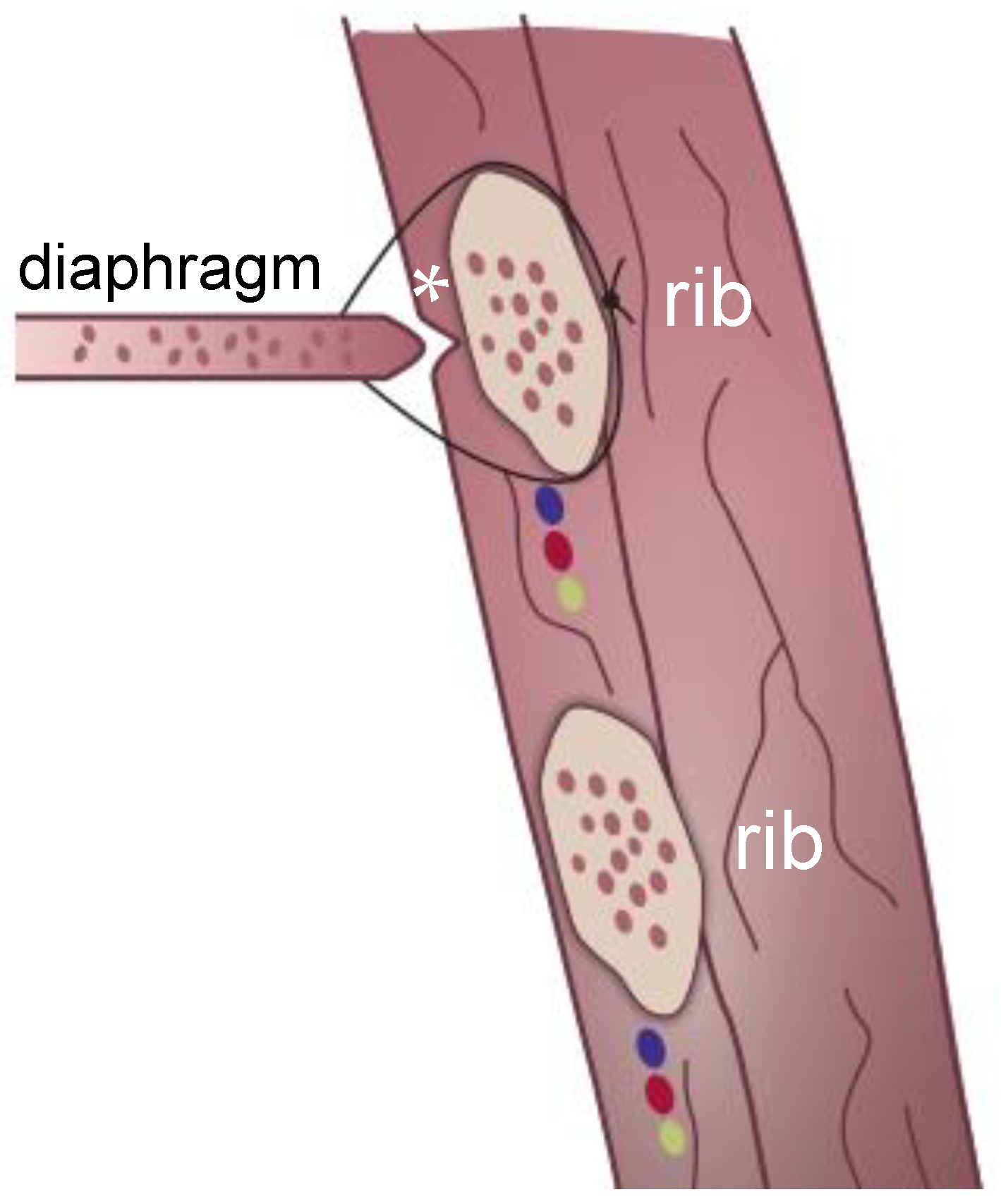 Children 09 01116 g004