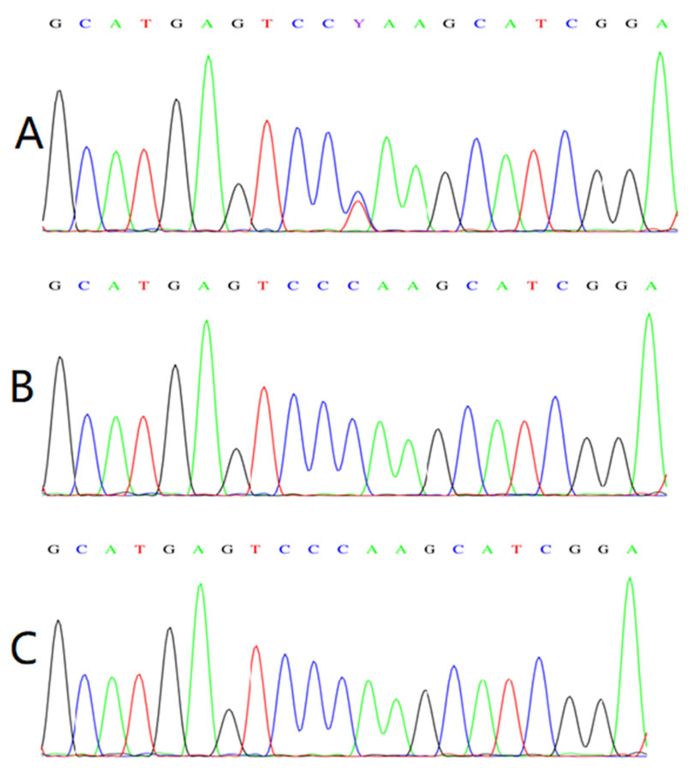 Children 09 01447 g003 Children 09 01447 g003