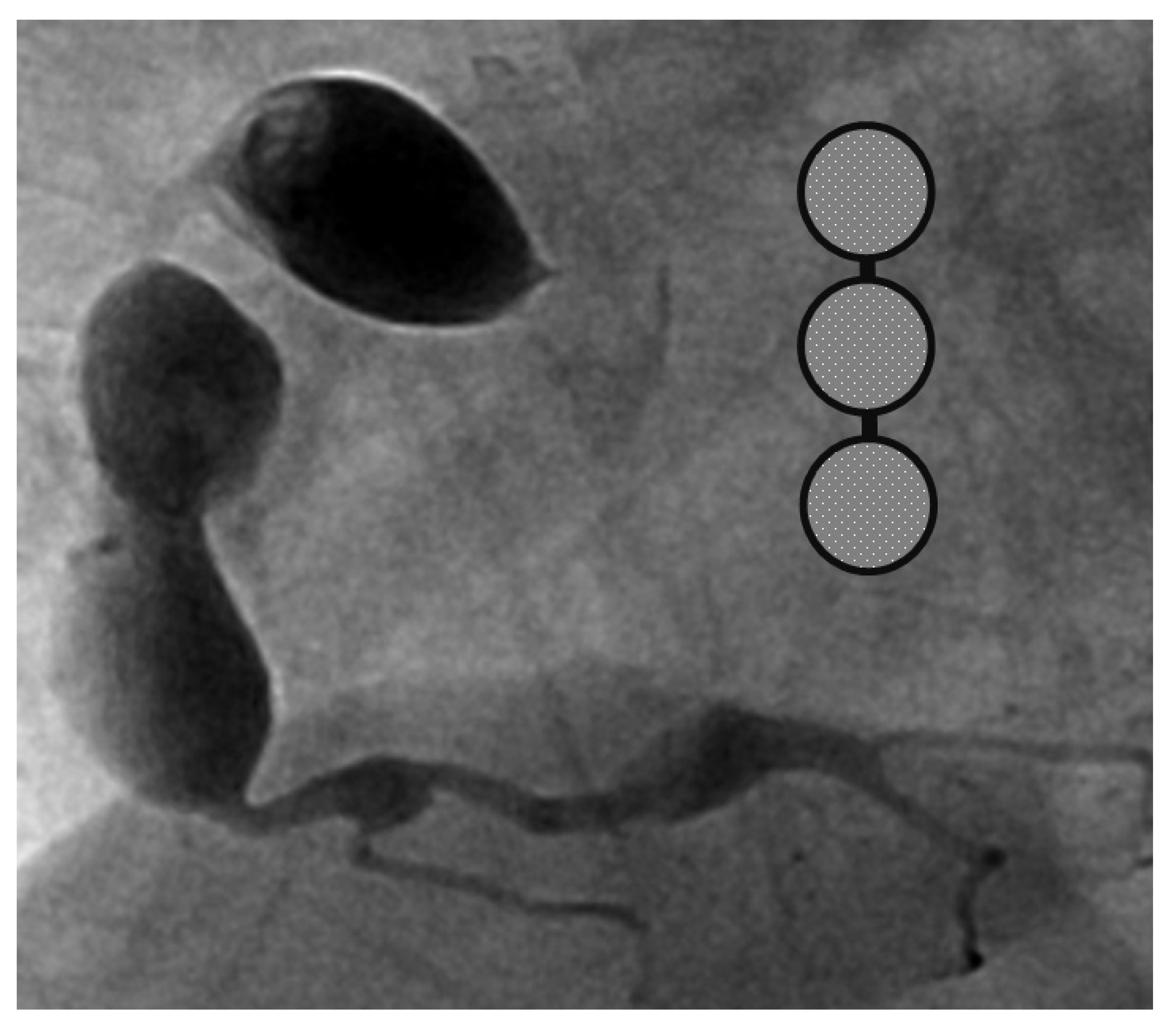 Children 09 01463 g002