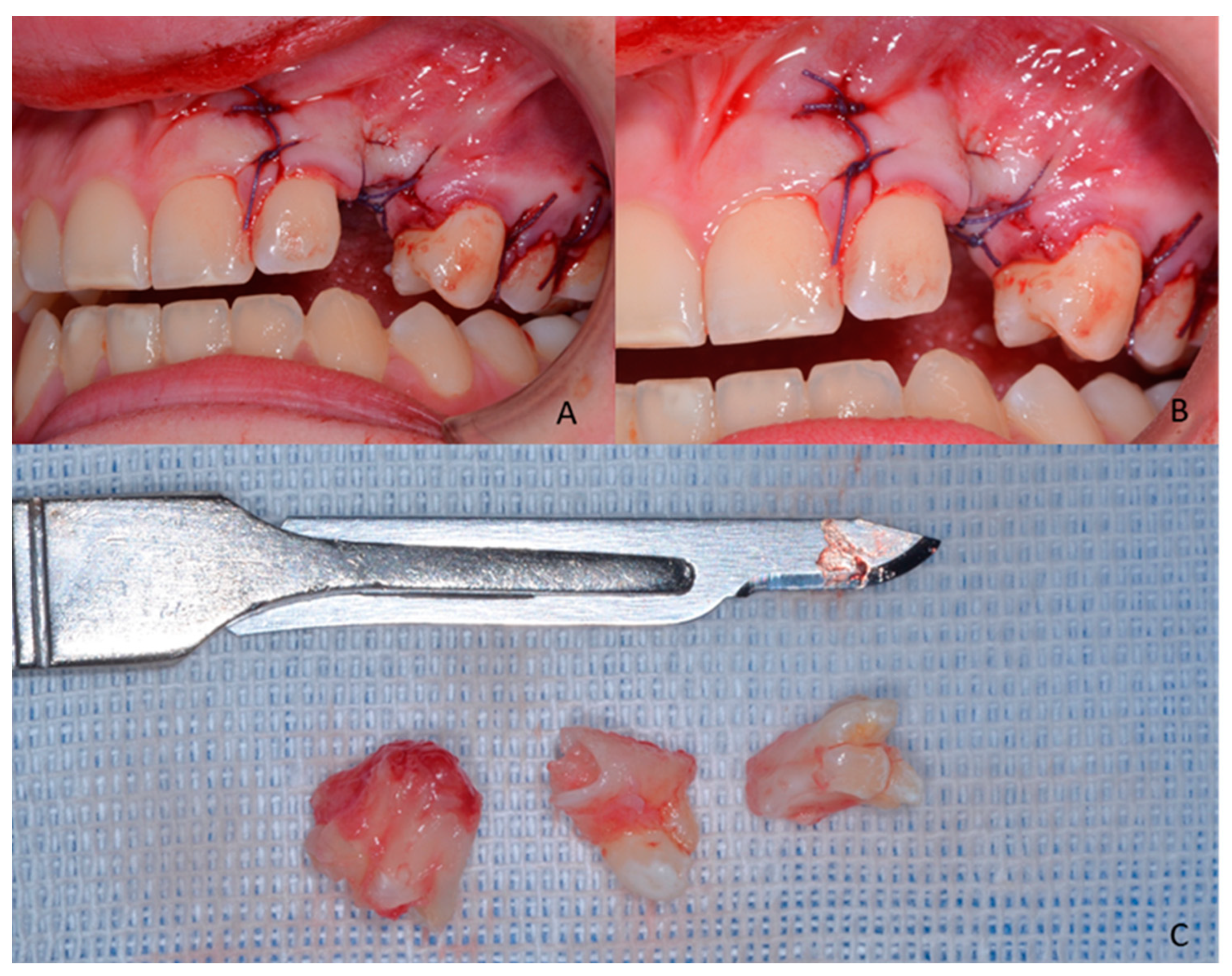 Children 09 01509 g004