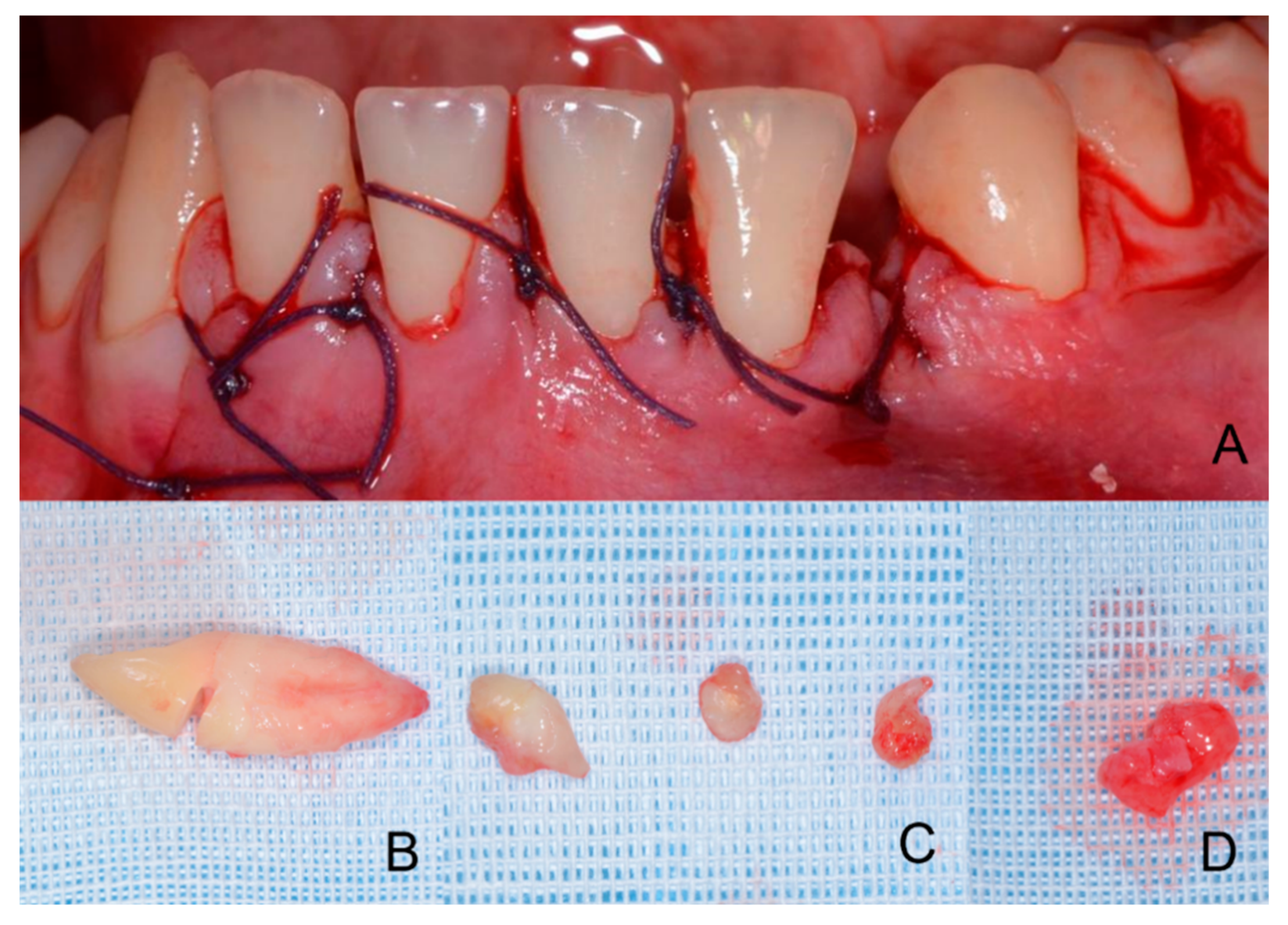 Children 09 01509 g013