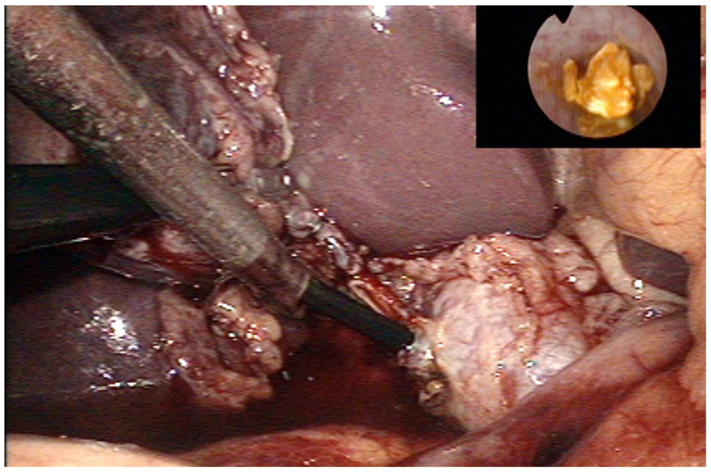 Children 09 01583 g002