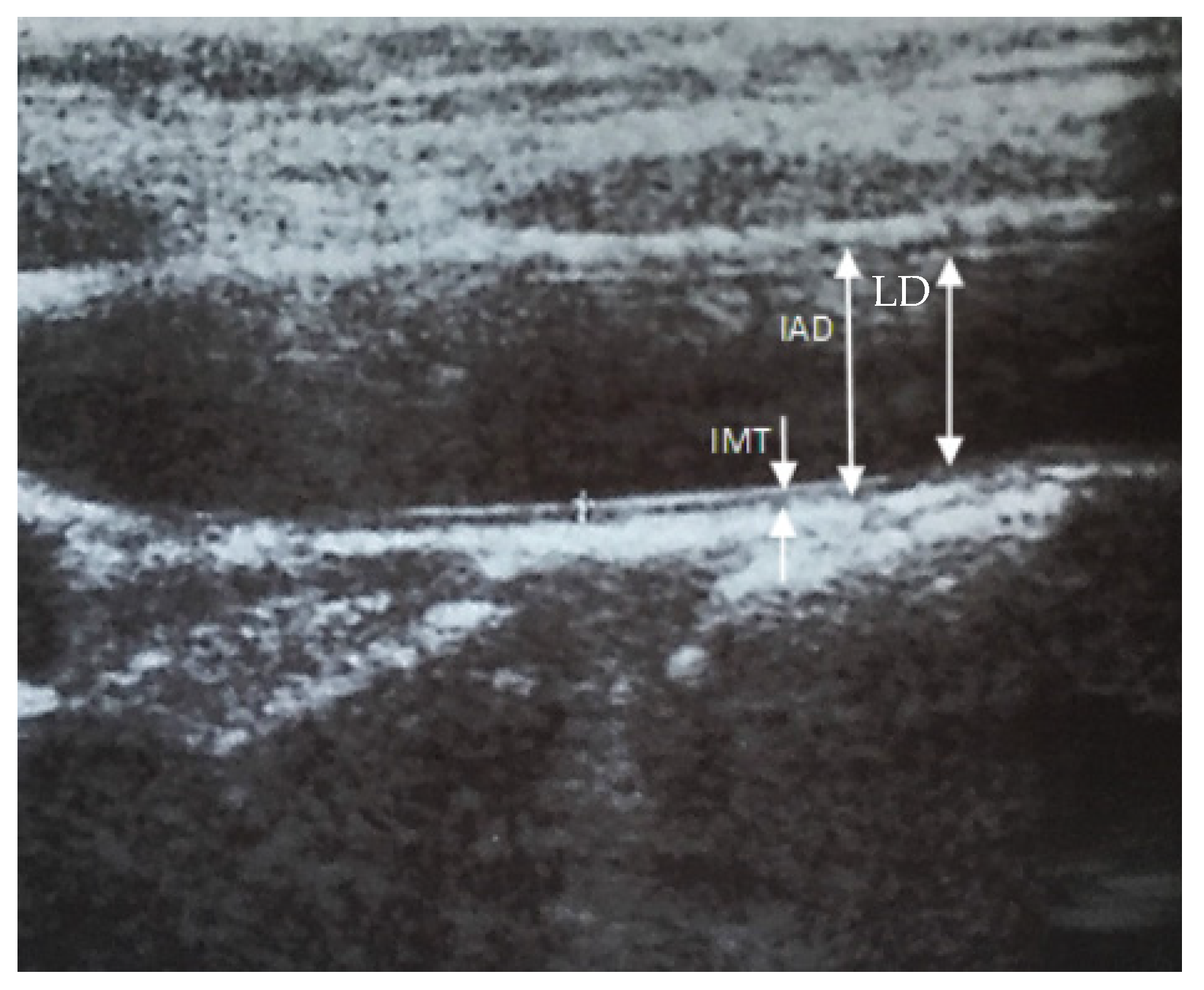 Children 09 01660 g001