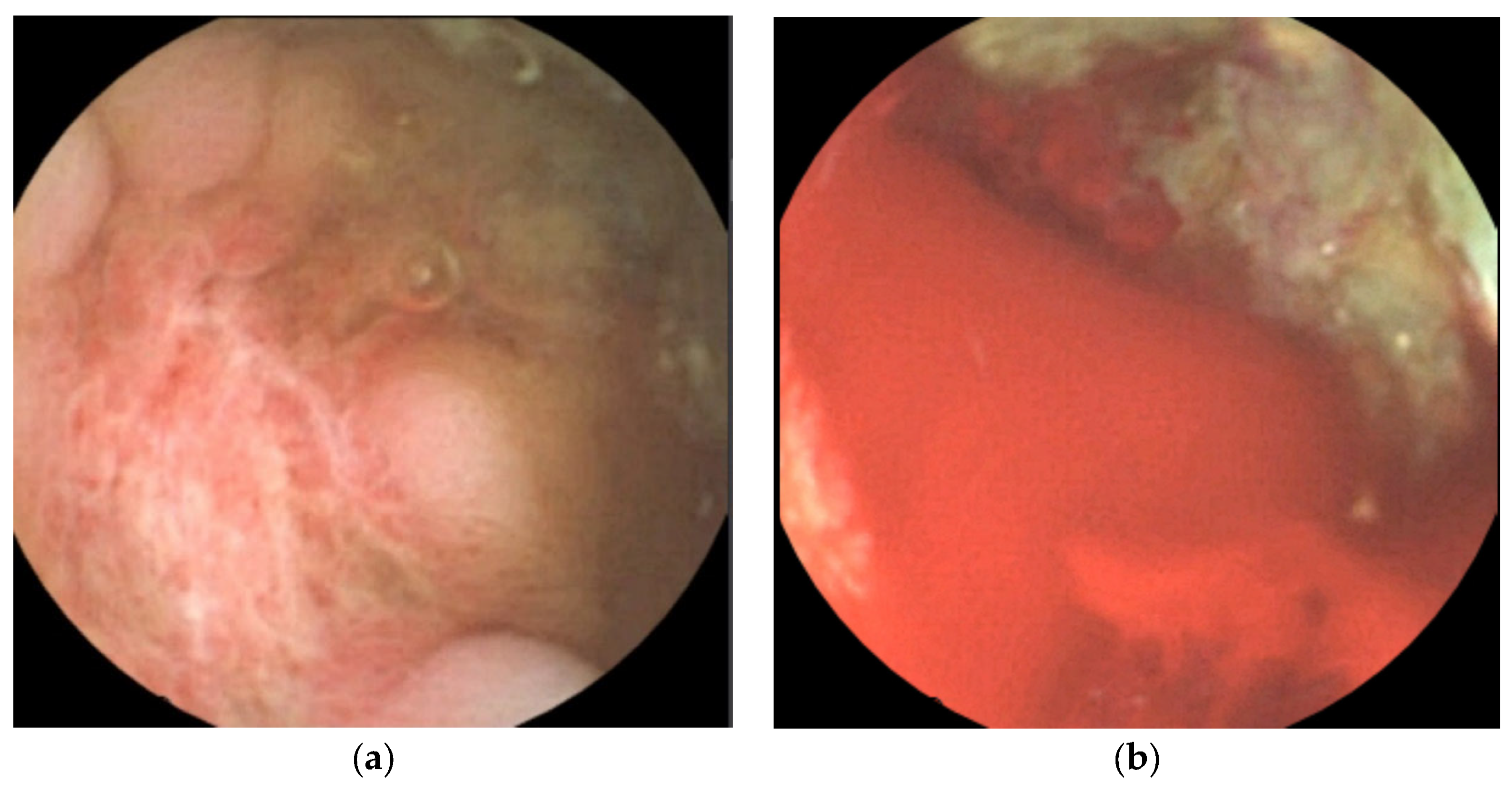 Children 09 01663 g005