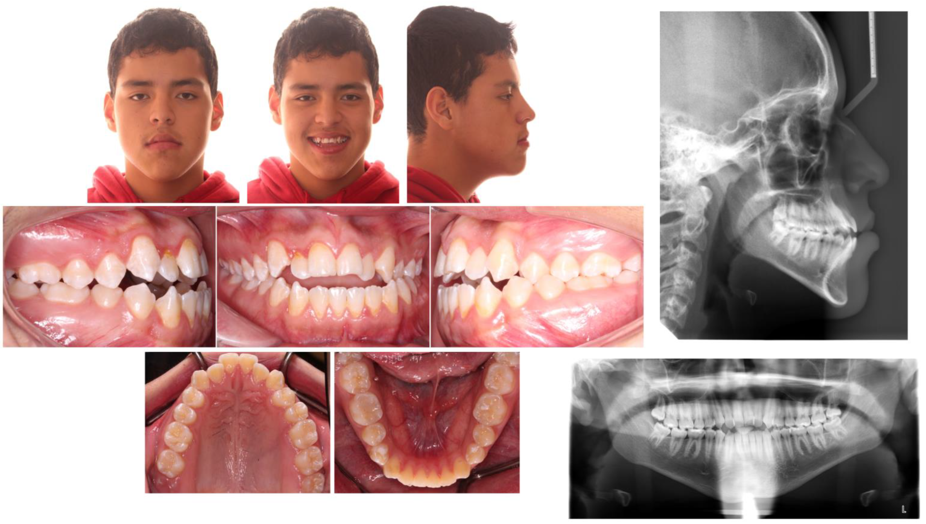 Children 09 01666 g001