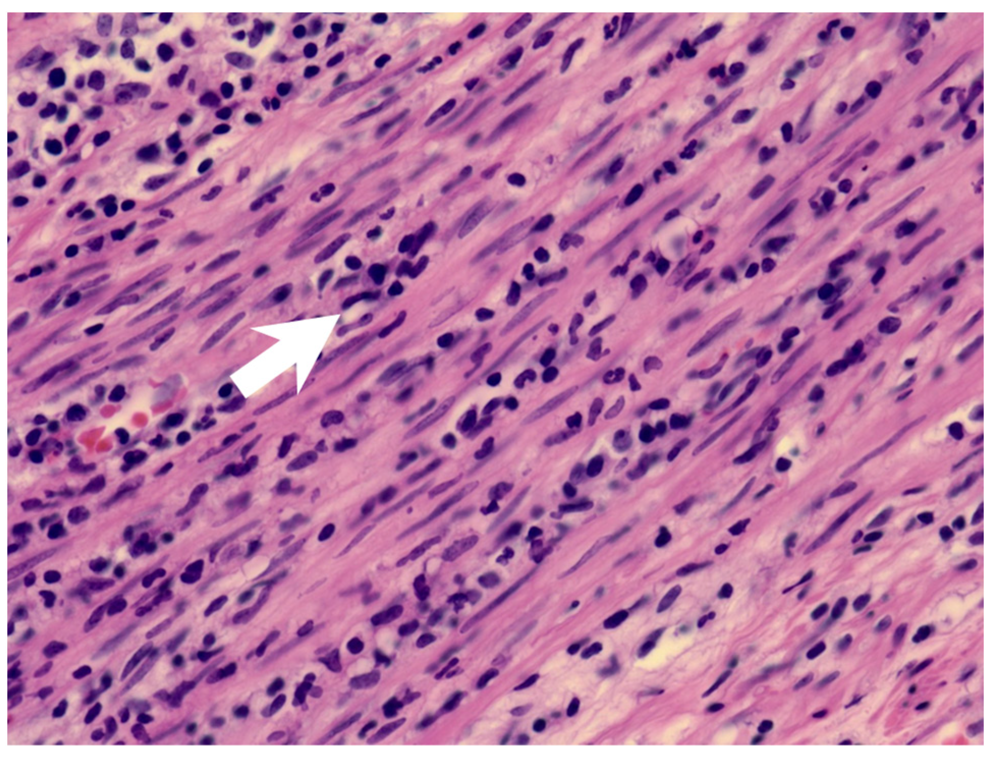 Children 09 01819 g002 Children 09 01819 g002