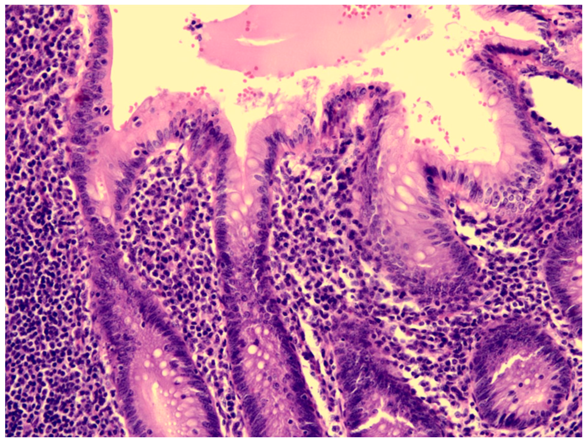 Children 09 01819 g003 Children 09 01819 g003