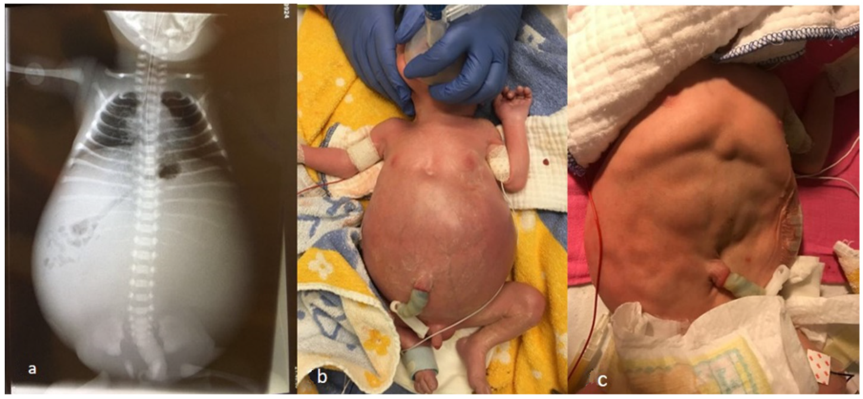 Children 09 01890 g001