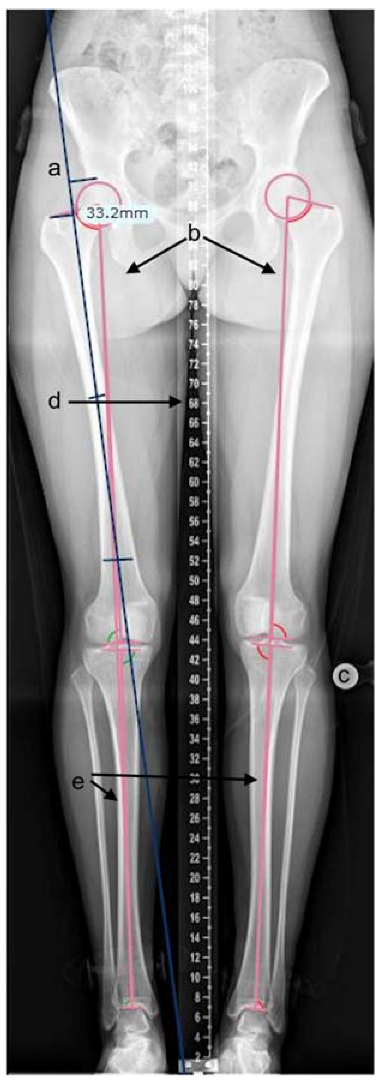 Children 09 01945 g001 Children 09 01945 g001