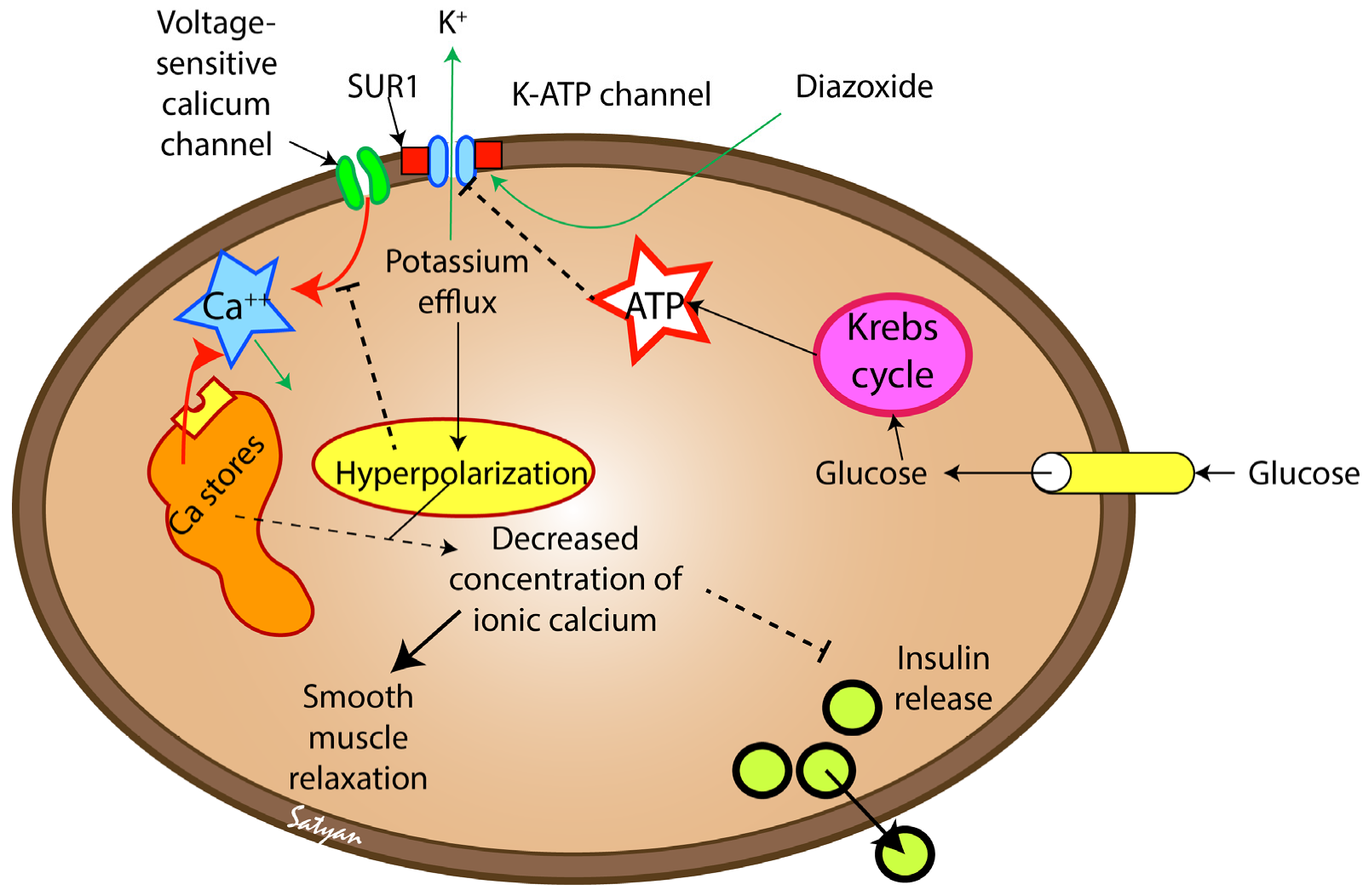 Children 10 00005 g001