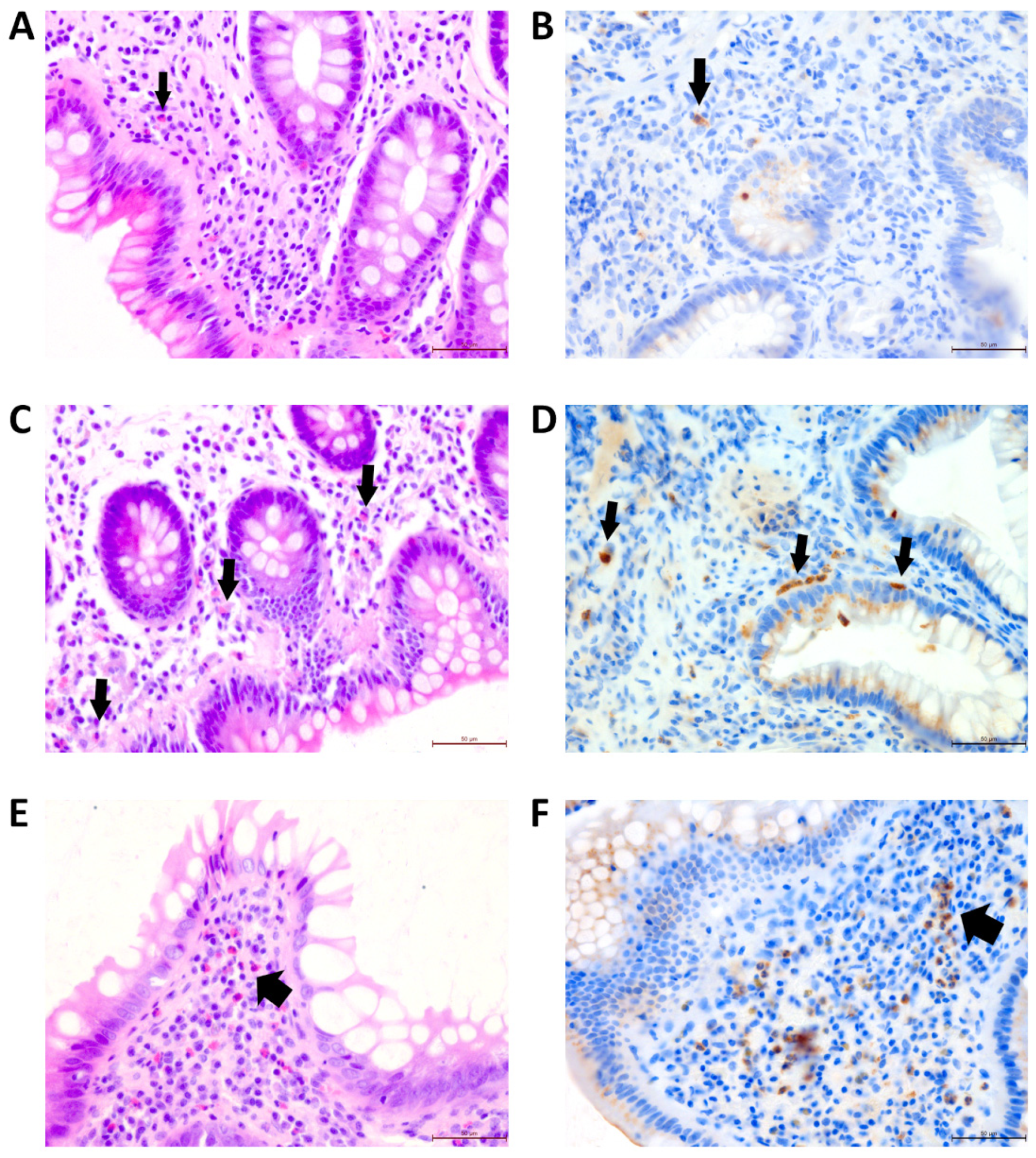 Children 10 00006 g001 Children 10 00006 g001