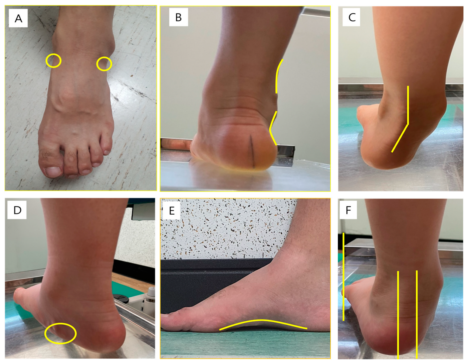 Children 10 00019 g002