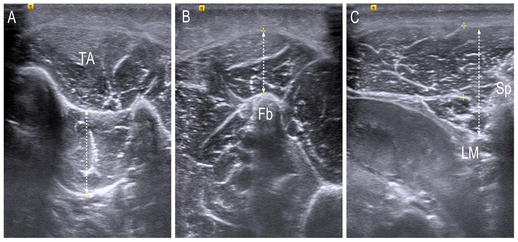 Children 10 00019 g004