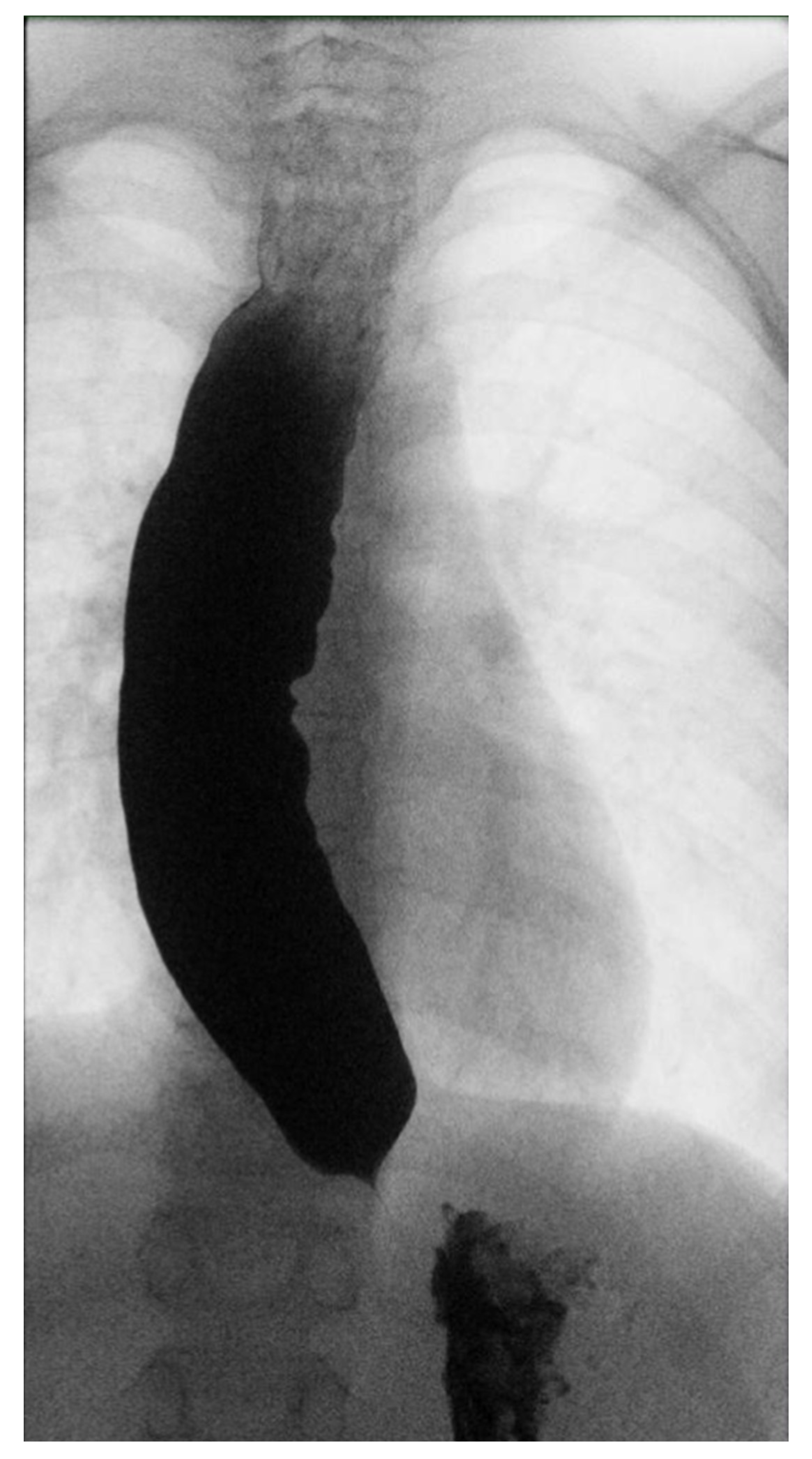 Children 10 00063 g001