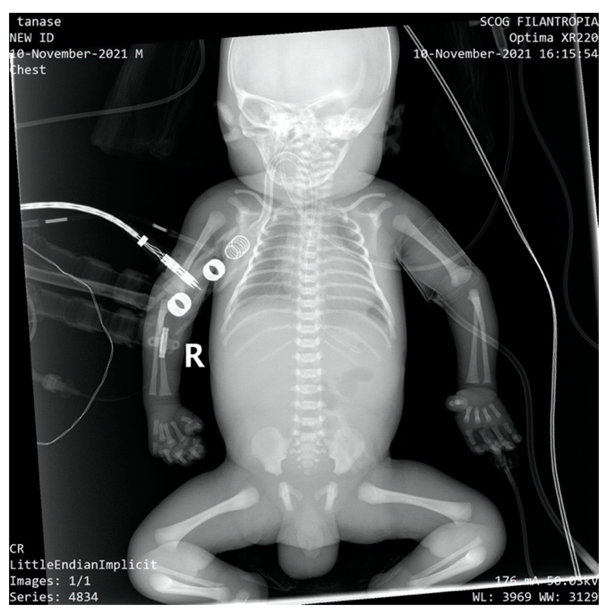 Children 10 00066 g002