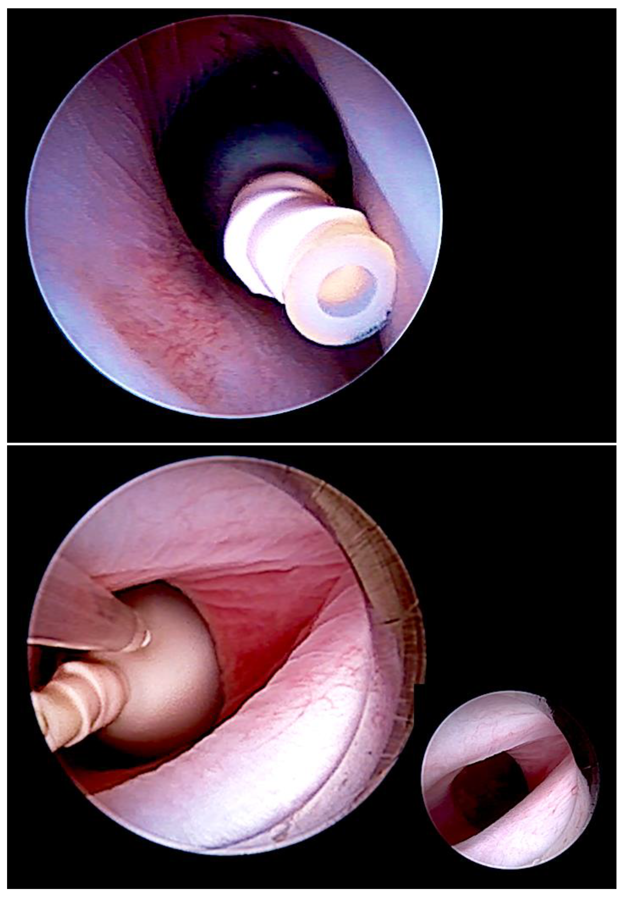 Children 10 00067 g002